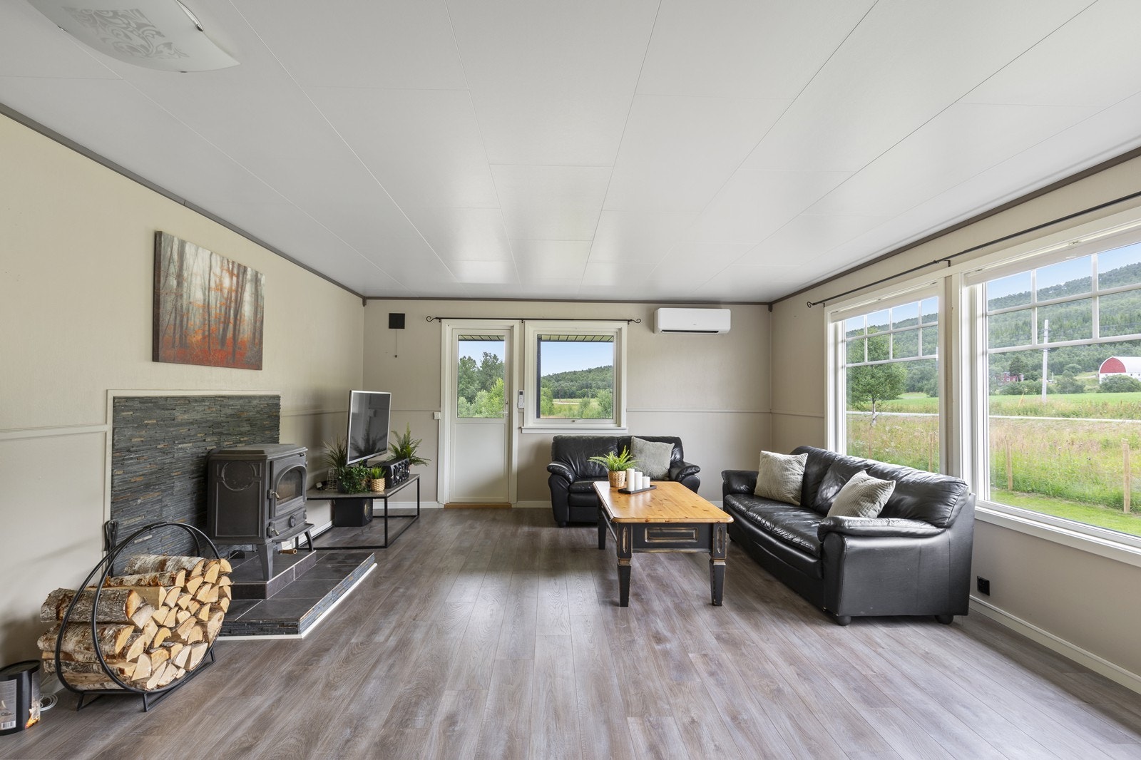 Stue med vedovn og varmepumpe Galleribilde