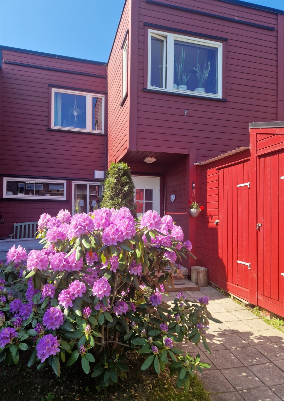 Bilde tatt av selger. Galleribilde