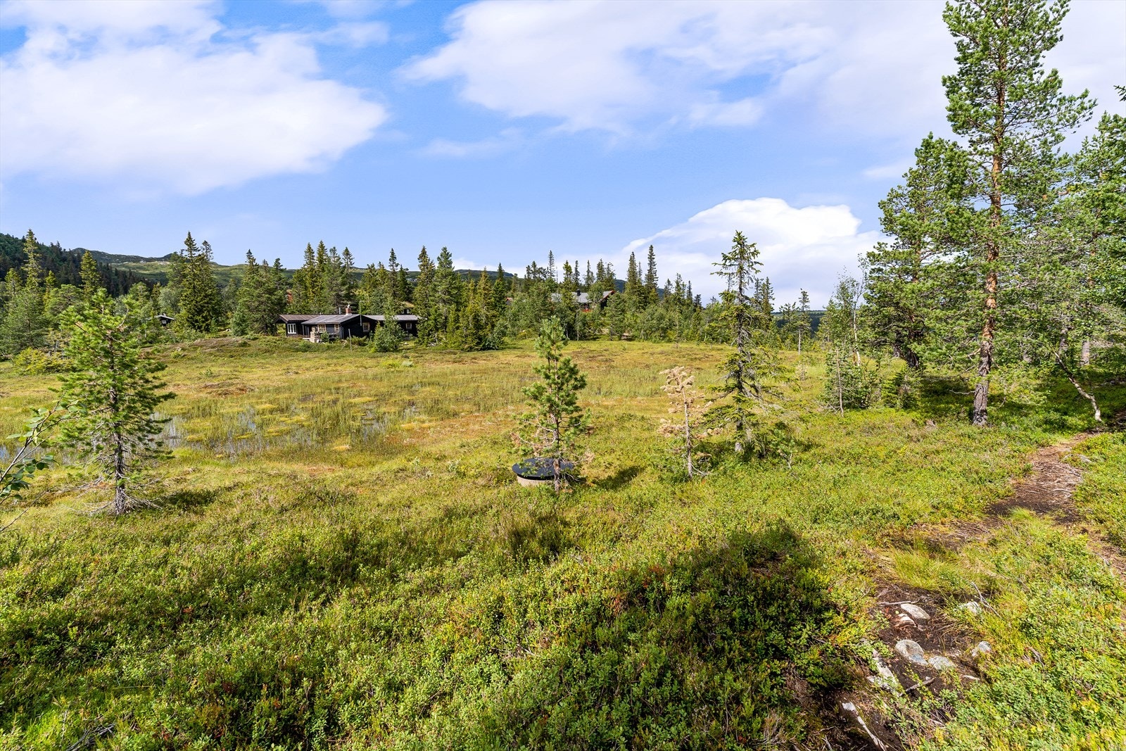 Nærområde Galleribilde