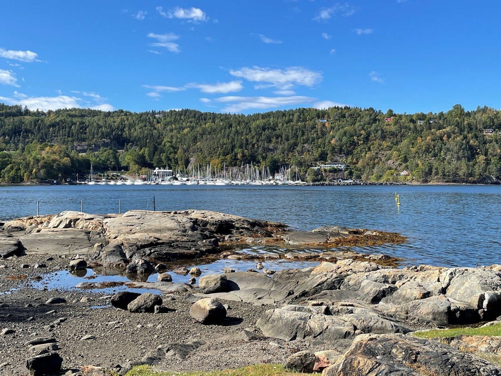 Nærsnestangen med sandstrand. Galleribilde