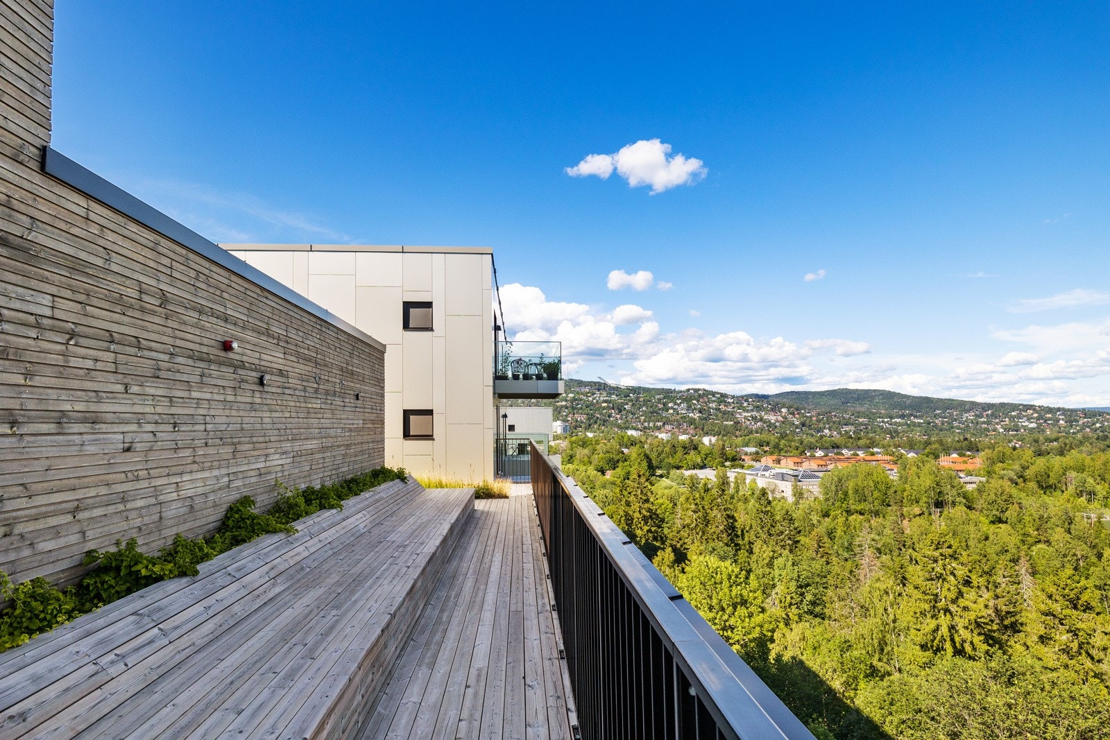 Her har alle beboerne rikelig med boltreplass! Galleribilde