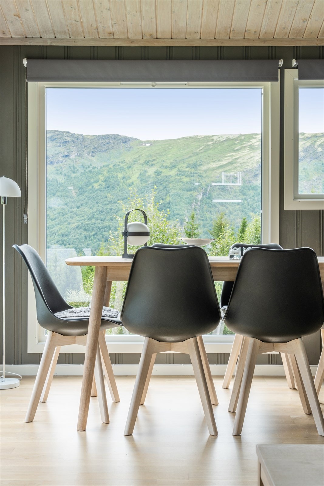 Fjellutsikt Galleribilde