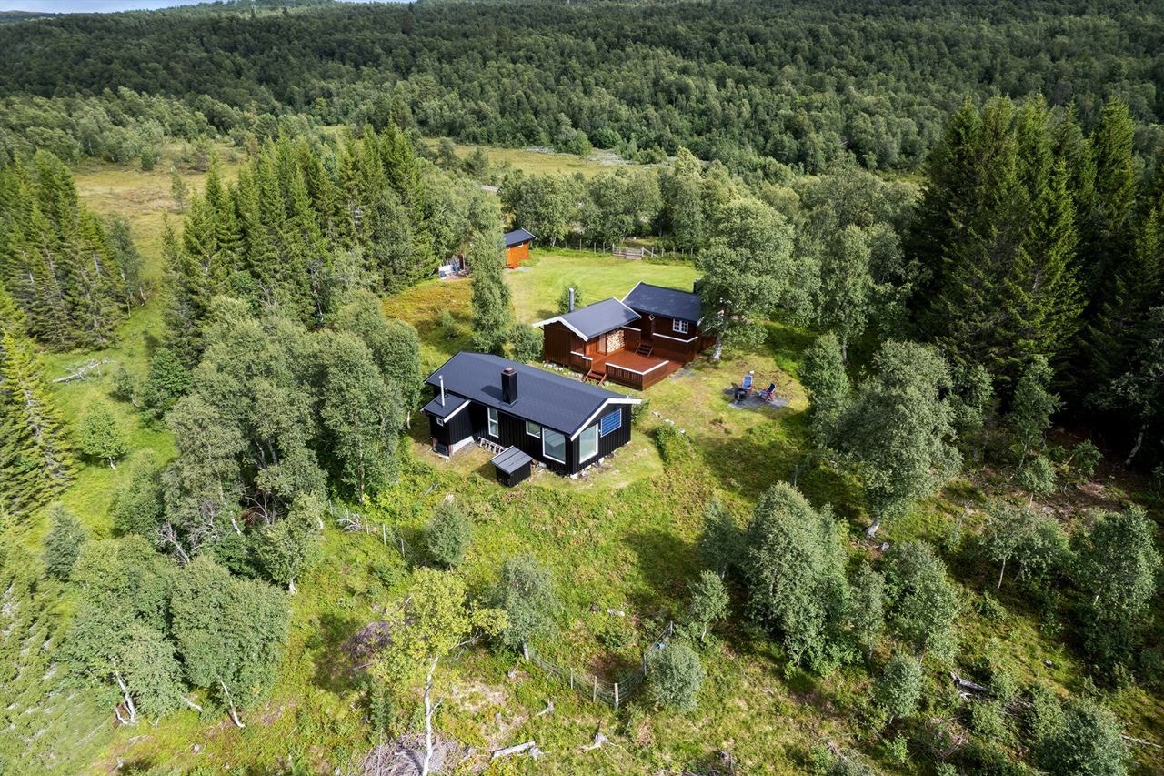 Gode solforhold i et flott turterreng Galleribilde