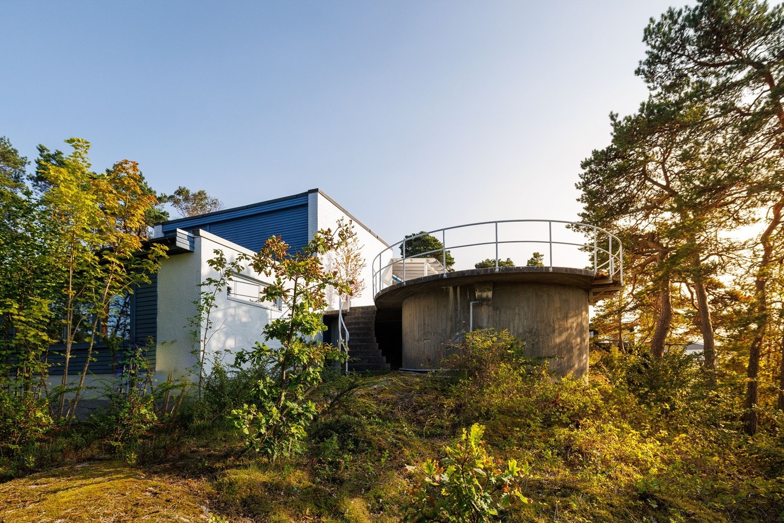 Eiet tomt på 1006 m2. Galleribilde