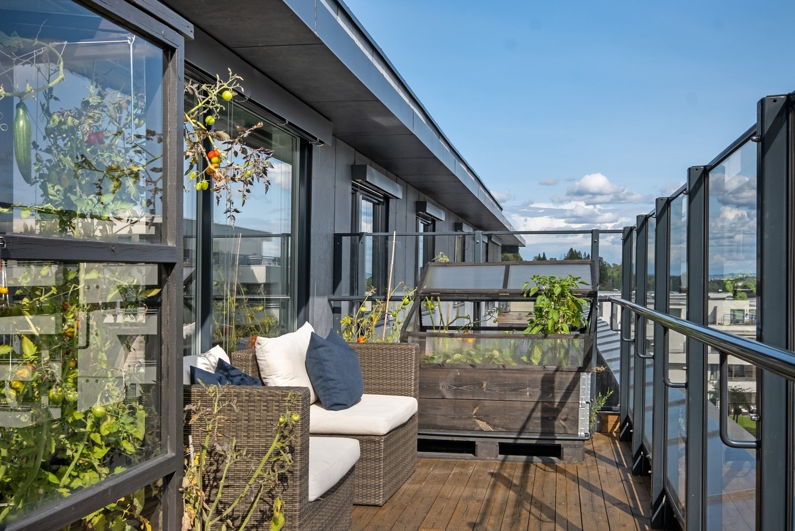 Flere flotte og solrike utesoner. Galleribilde