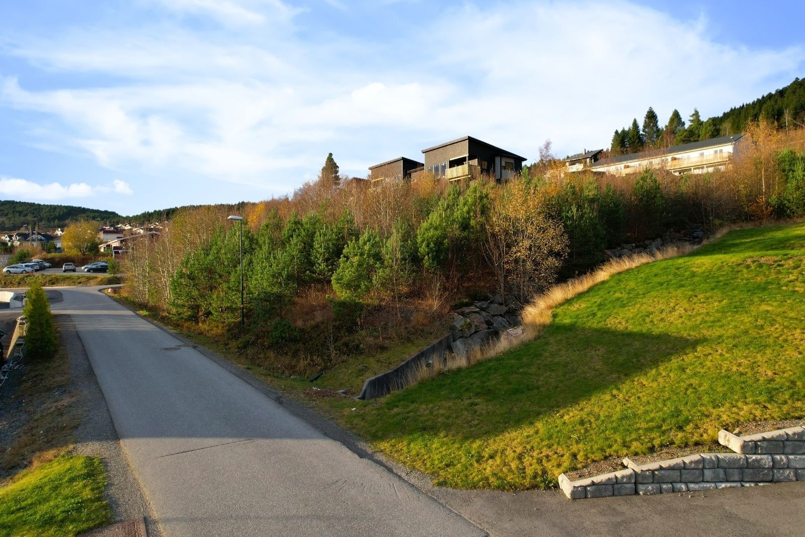 Populært og etablert boligfelt i Dalelia Galleribilde