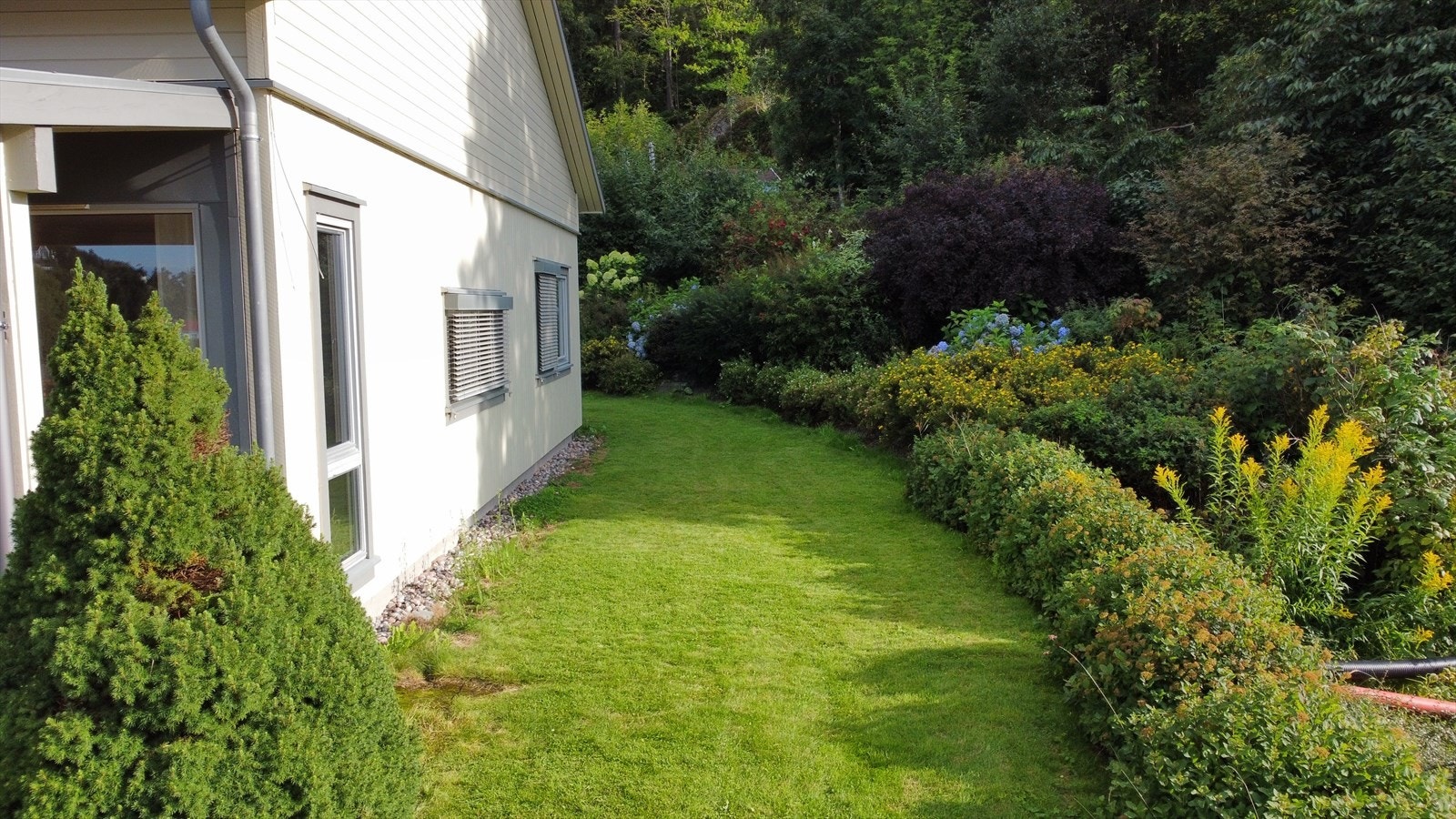 Hage utenfor leilighet Galleribilde