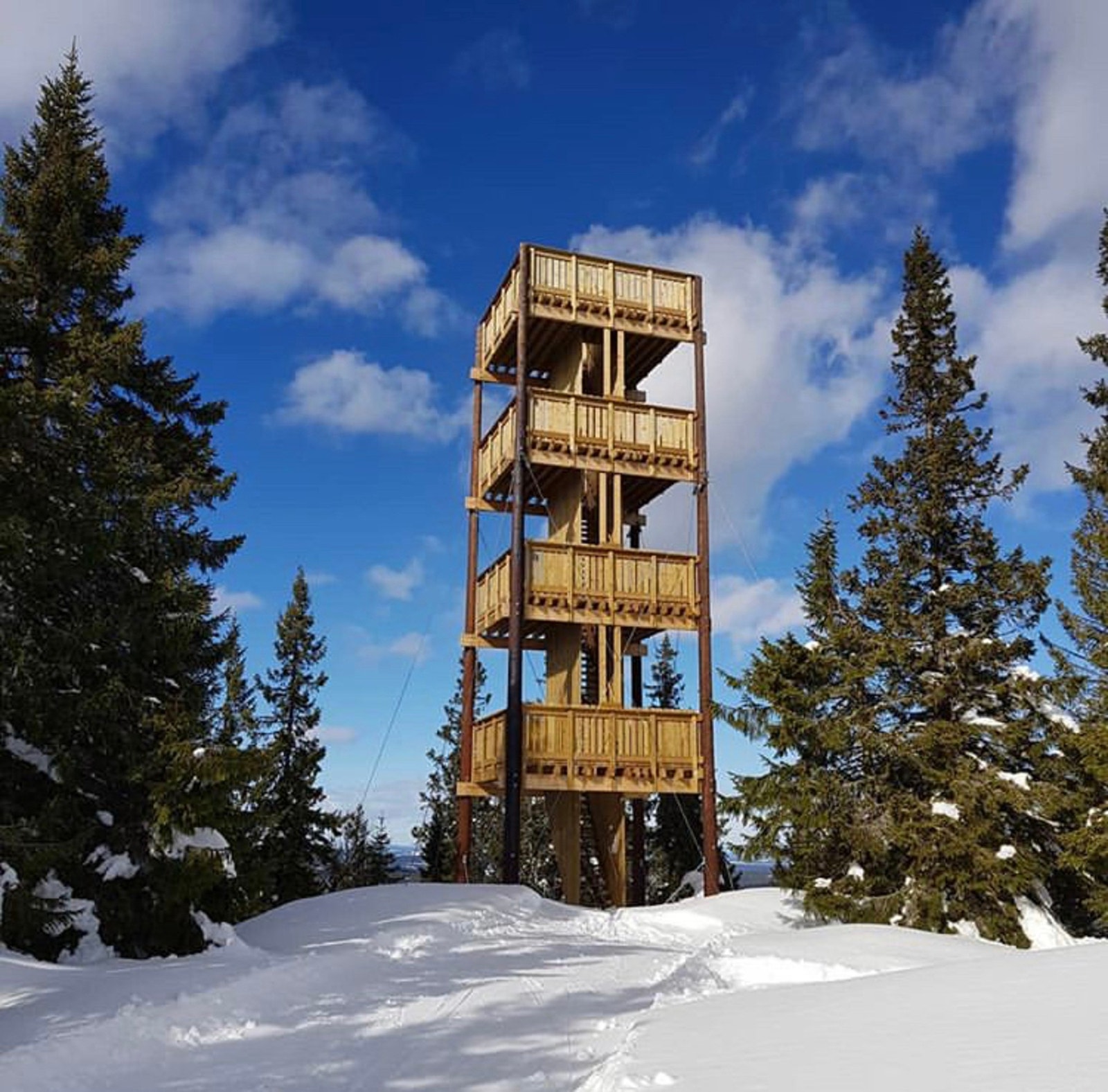 Utkikkstårn for elg eller annet? Galleribilde