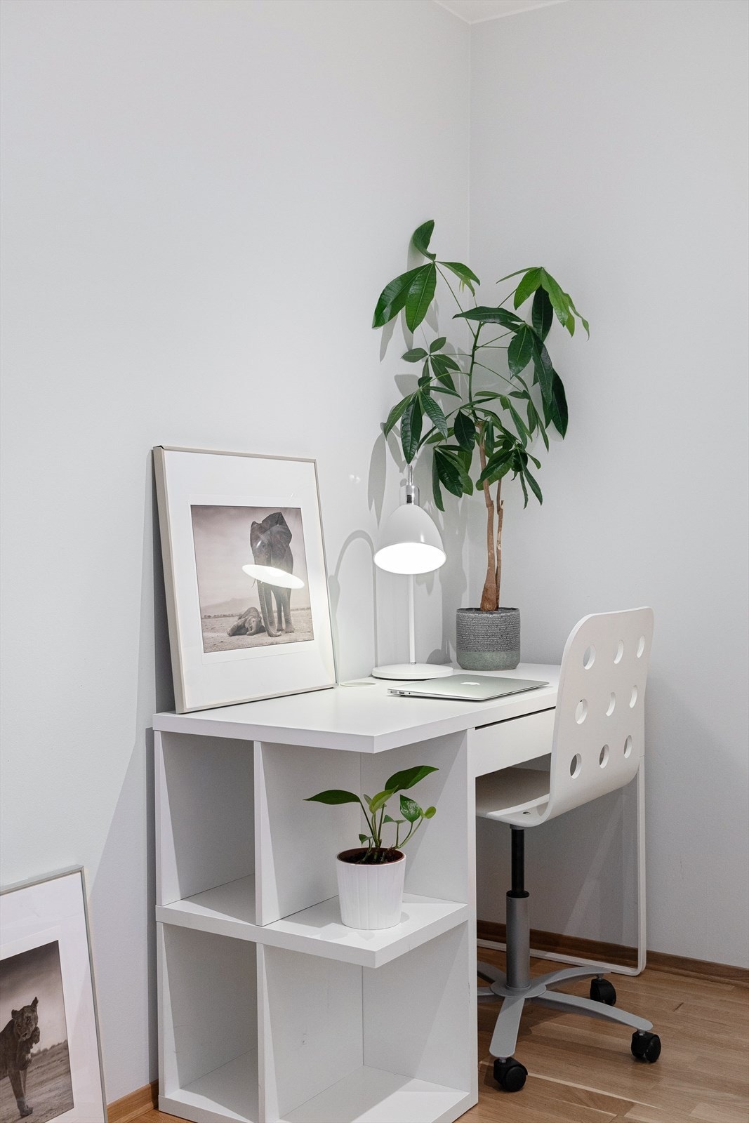 Eier benytter også rommet som kontor. Galleribilde