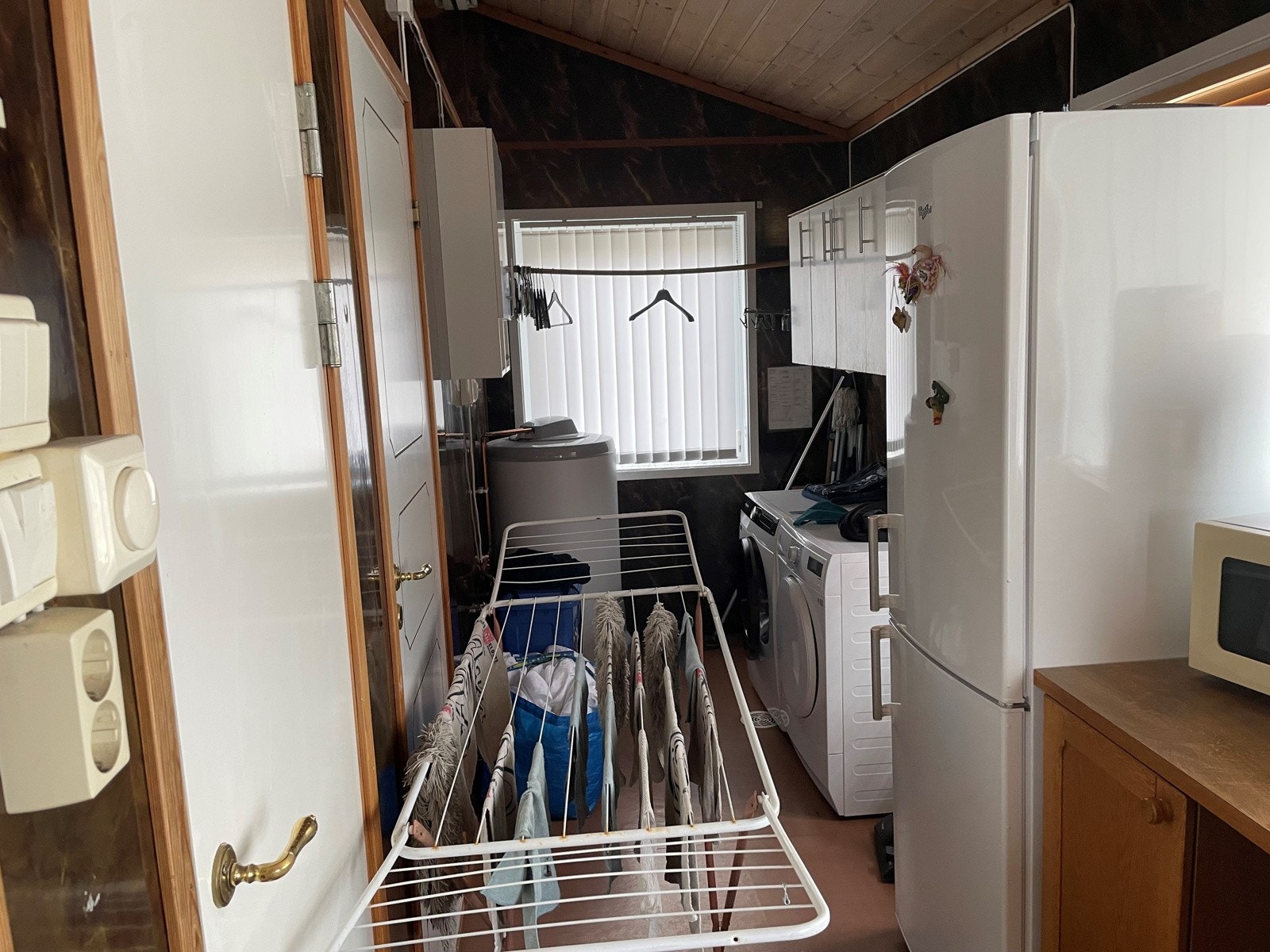 Hvitting 3 Galleribilde