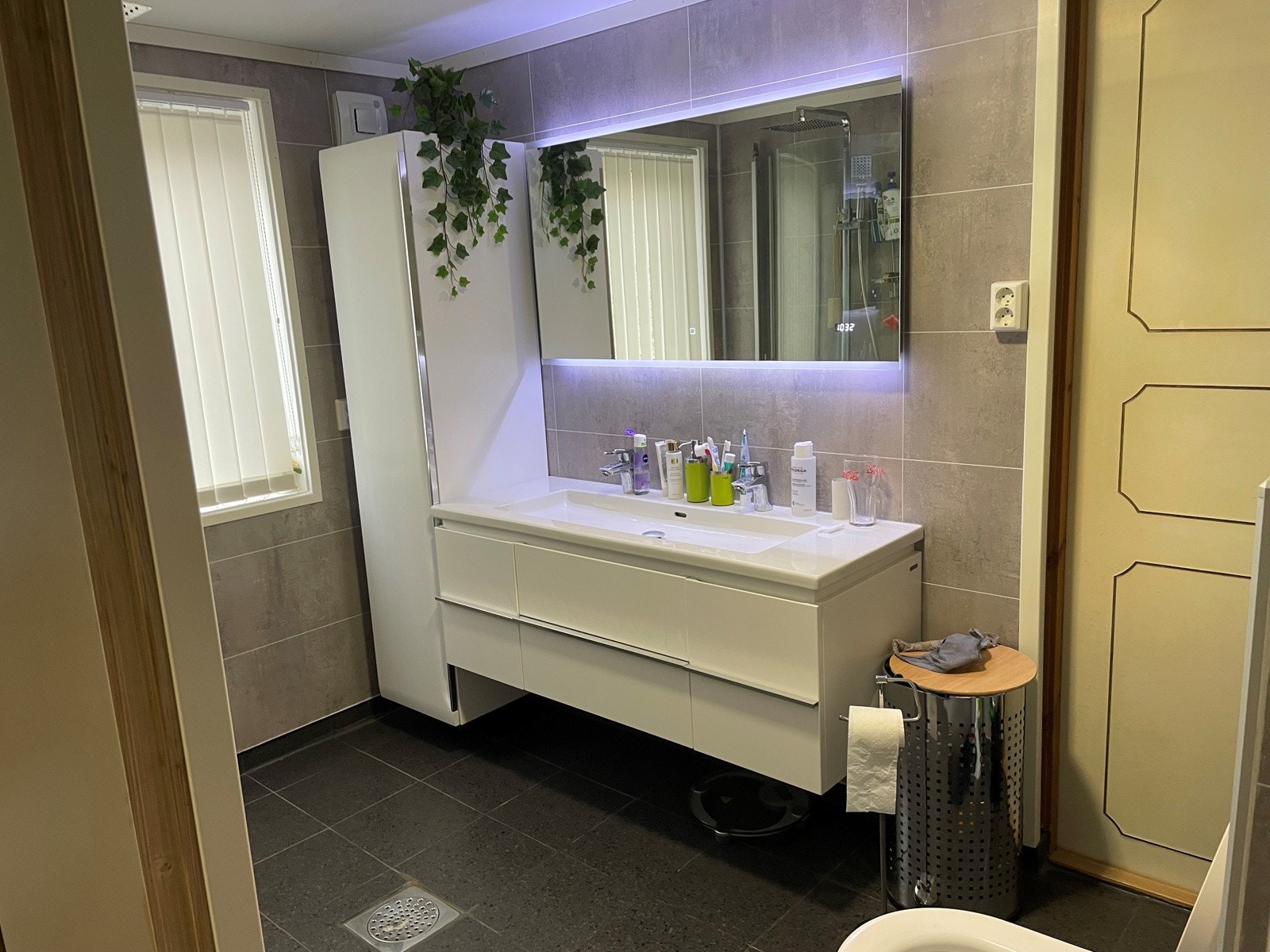 Hvitting 4 Galleribilde