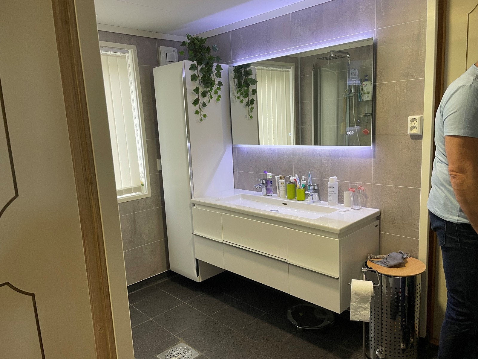 Hvitting 5 Galleribilde