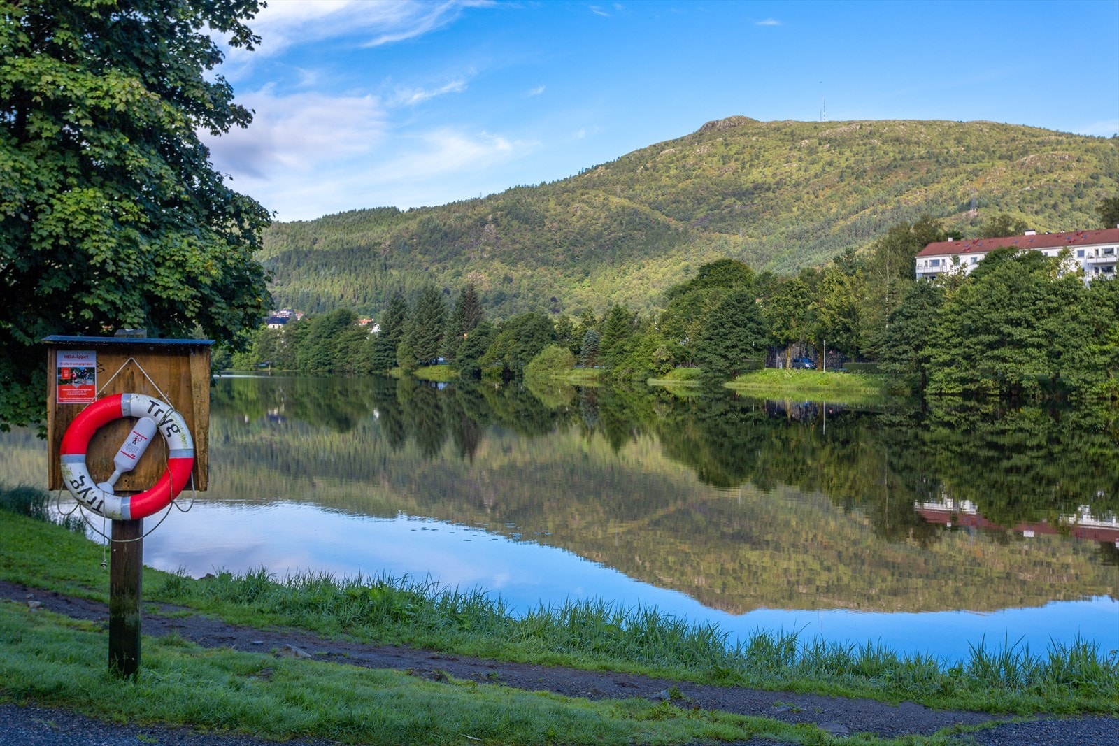Gode turmuligheter rundt Storetveitvannet og tveitevannet. Galleribilde