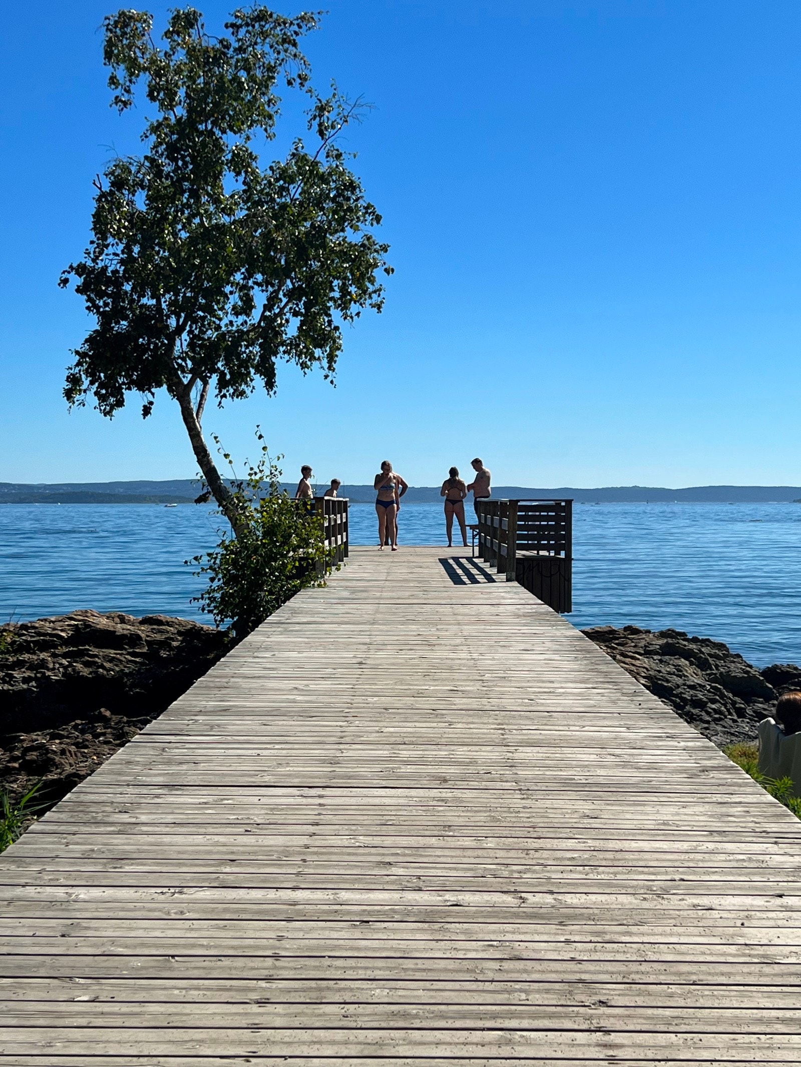 Fornebukta Galleribilde