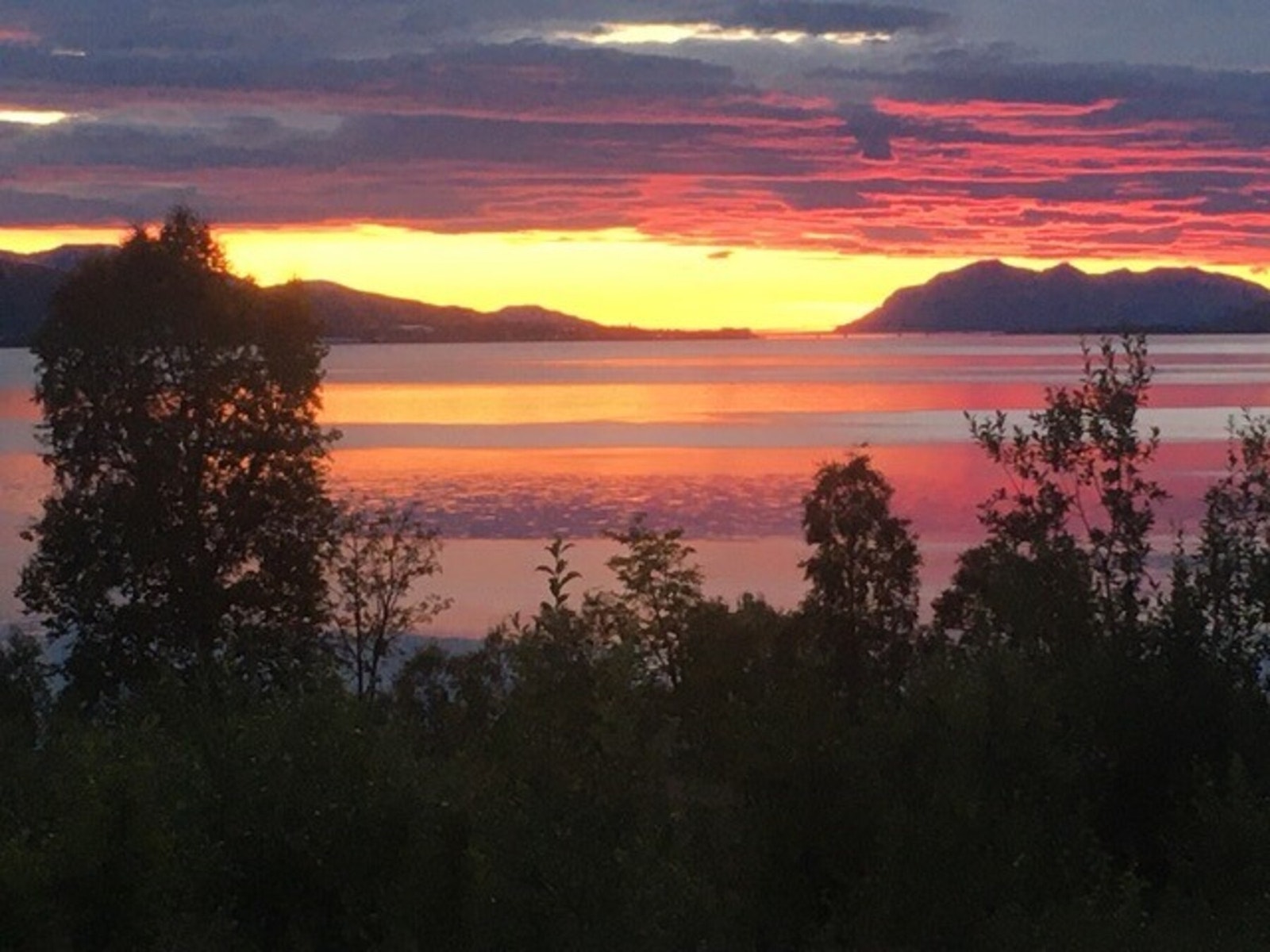 Utsikt sommerstid Galleribilde