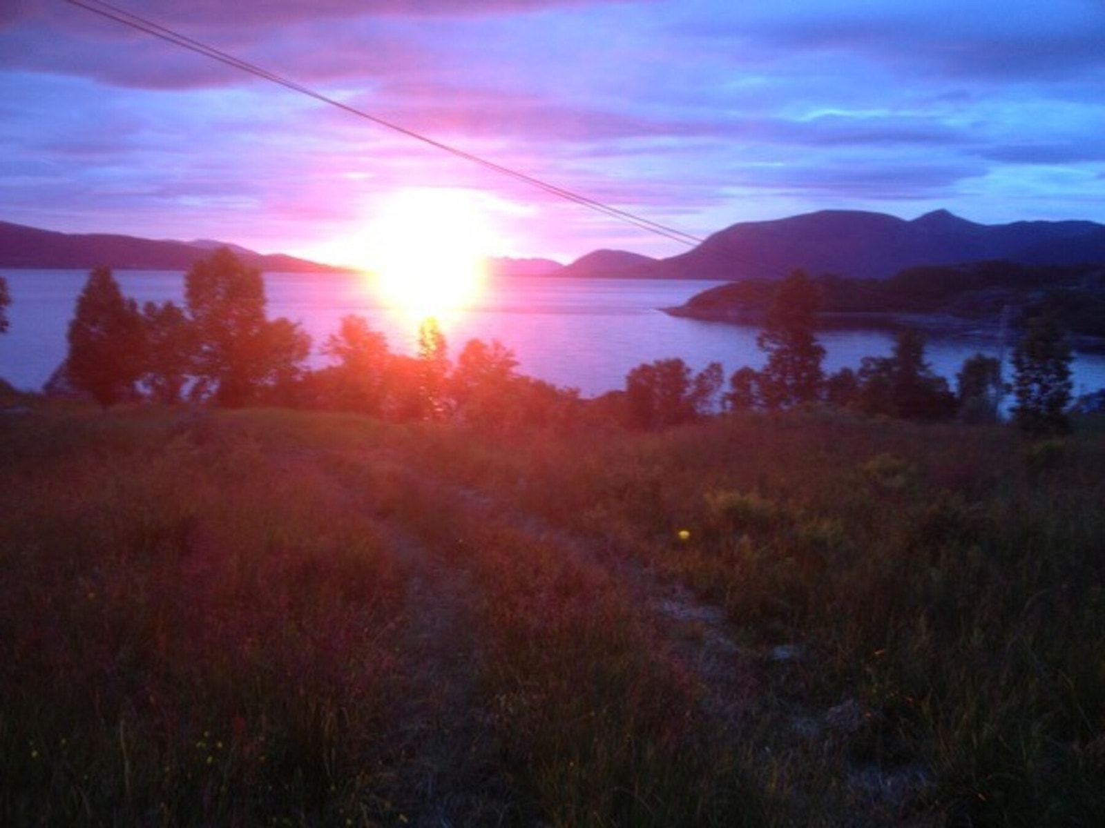 Utsikt sommerstid Galleribilde