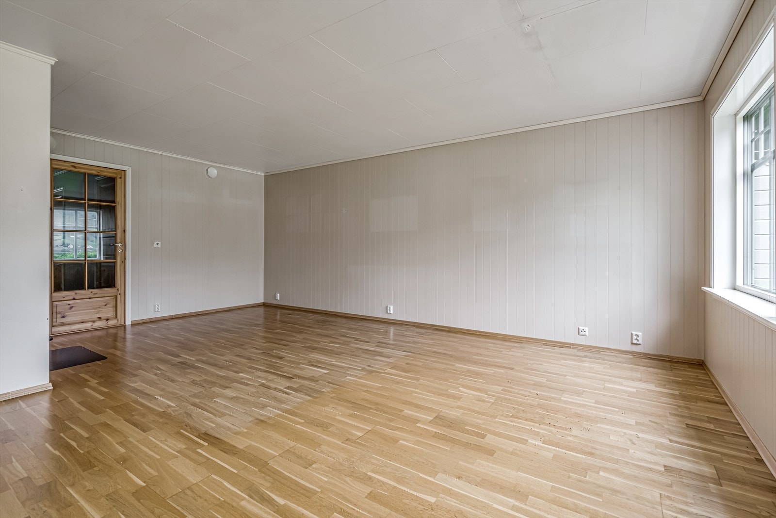 TIM01838 Galleribilde