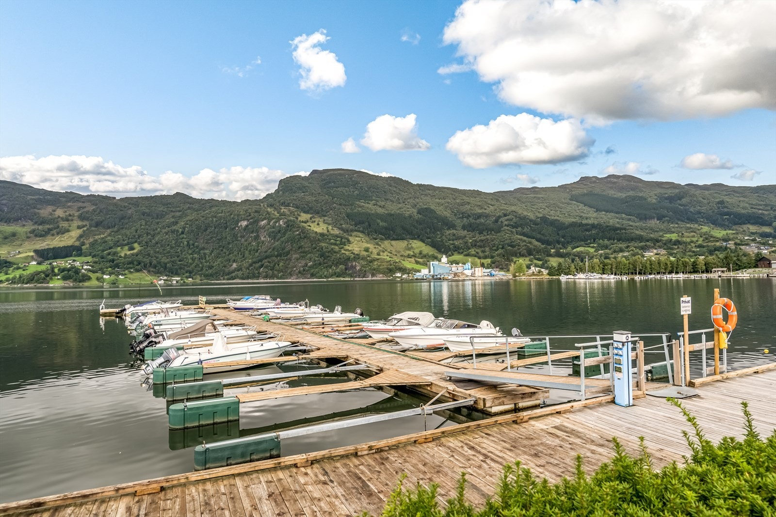 TIM01854 Galleribilde