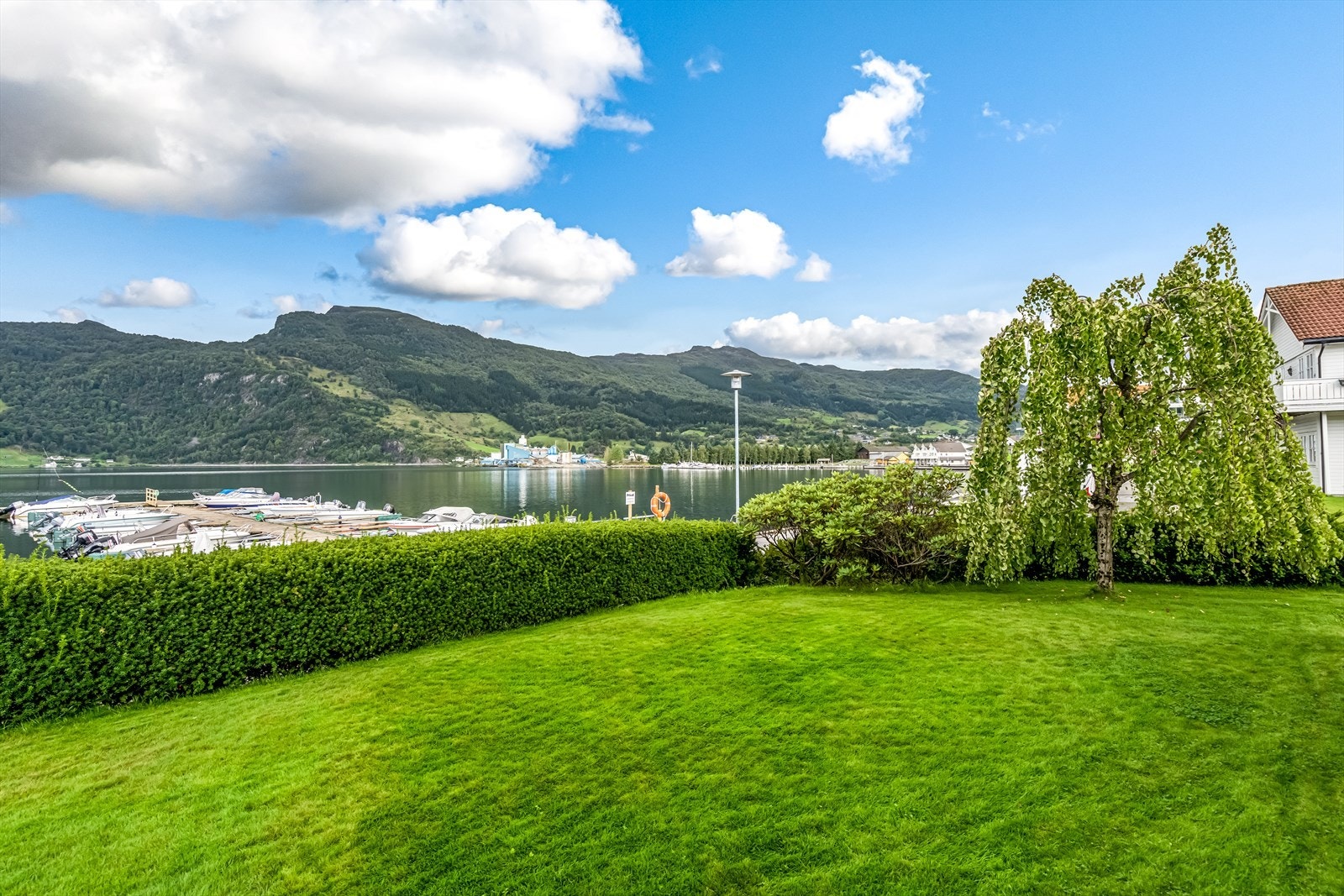 TIM01853 Galleribilde