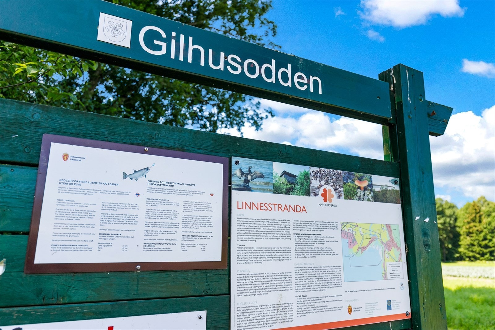 Gilhusodden er et flott naturreservat med flott badeplass i gangavstand fra tomten Galleribilde