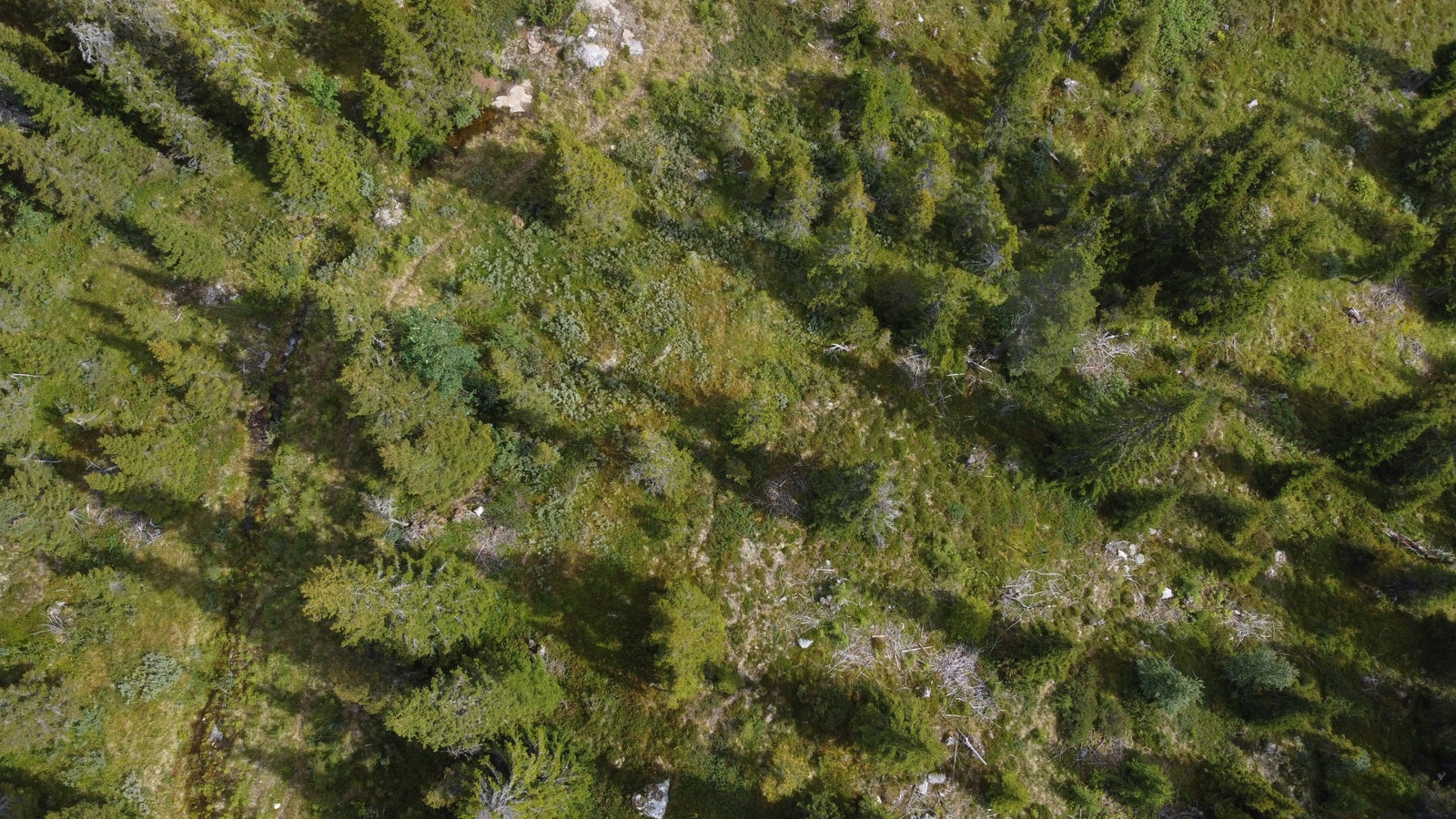 Oversiktsbilde i fra tomteområdet Galleribilde