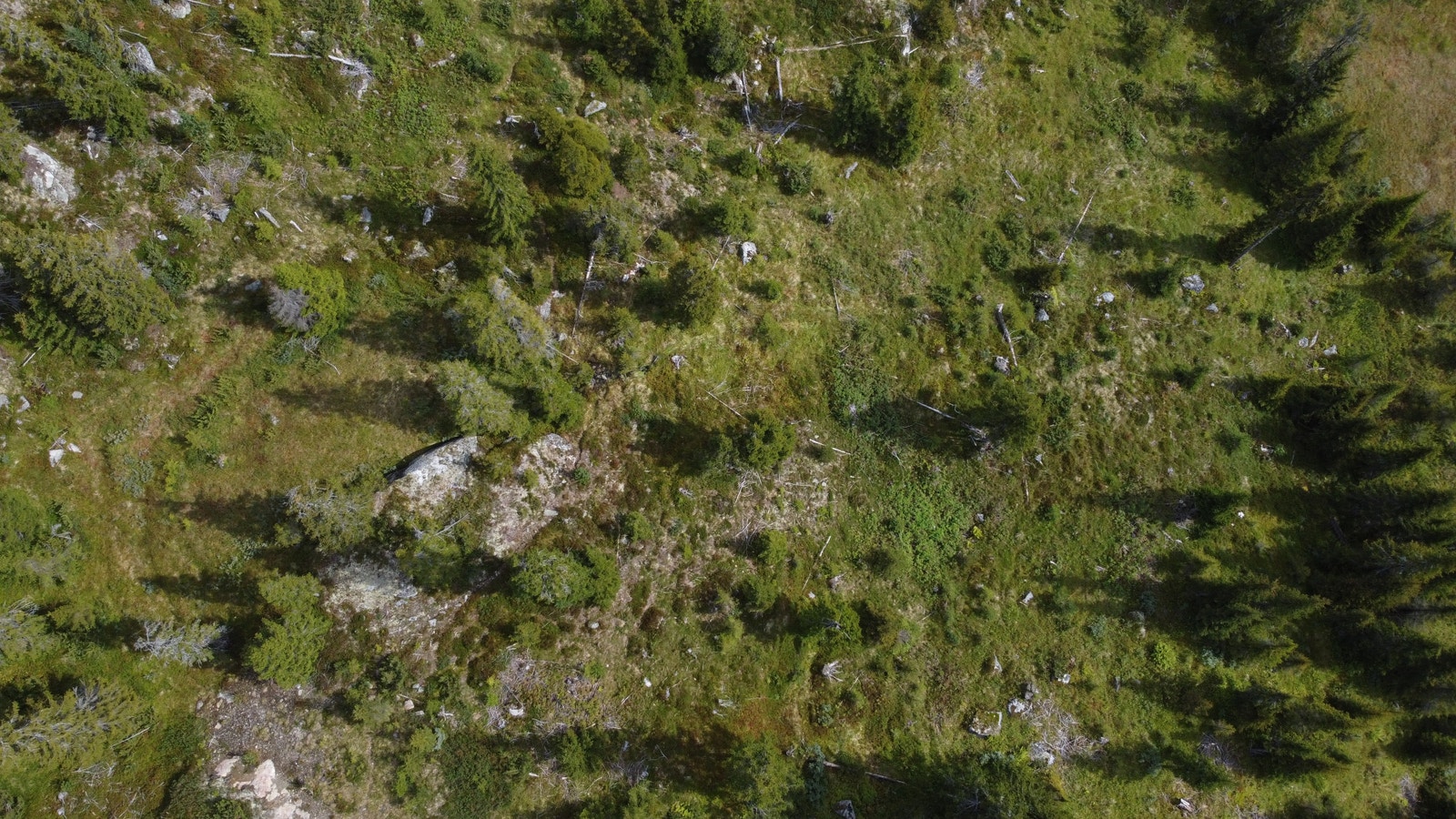 Oversiktsbilde i fra tomteområdet Galleribilde