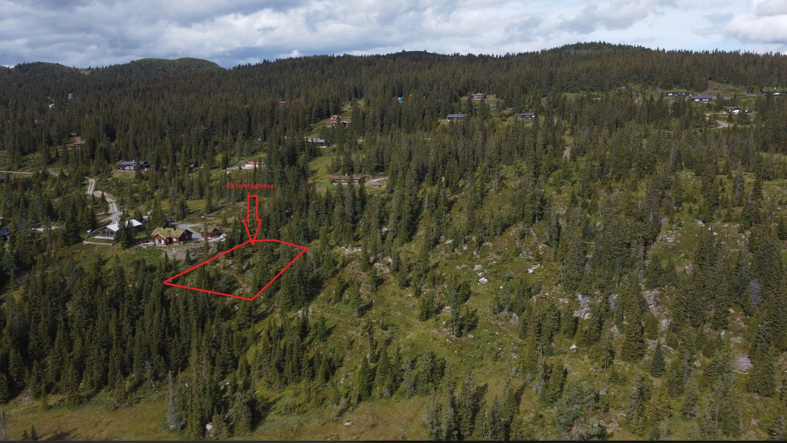 Oversiktsbilde med ca tomtegrense Galleribilde