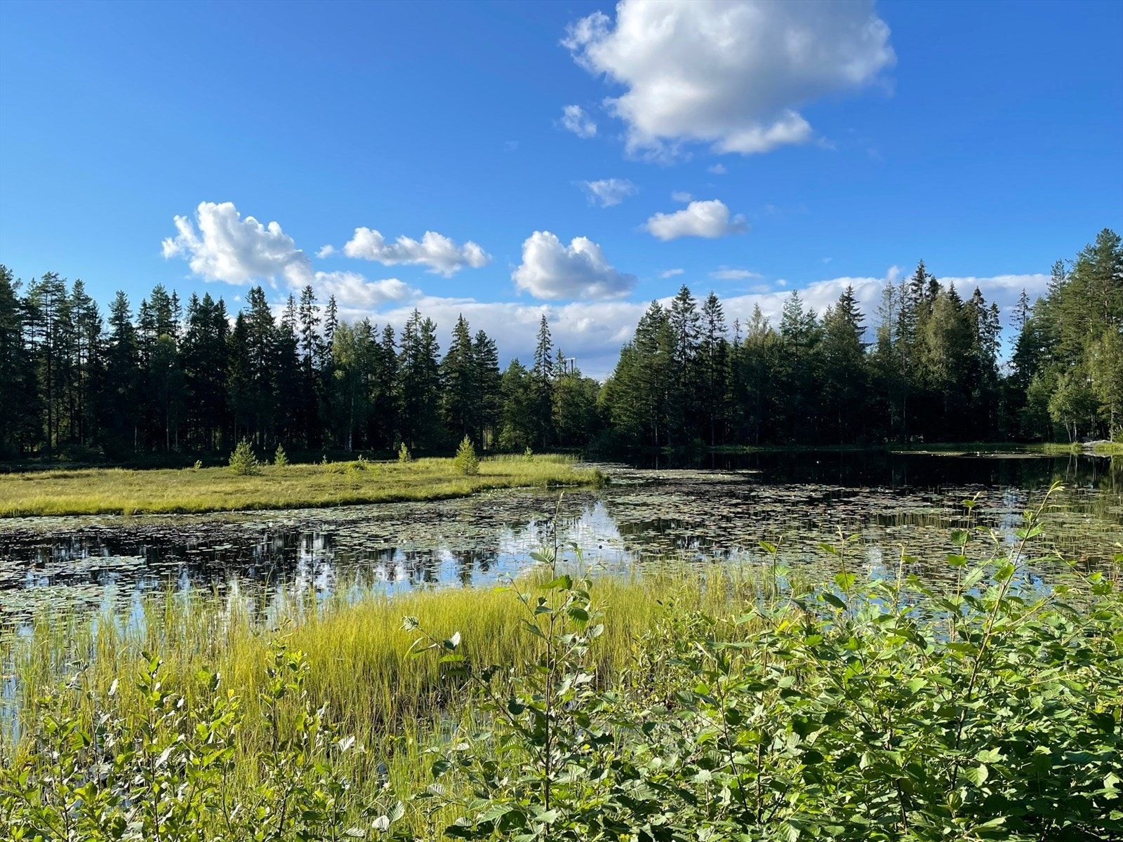 Gode muligheter for oppdagelsesferd for små og store, både i byen og i marka. Galleribilde