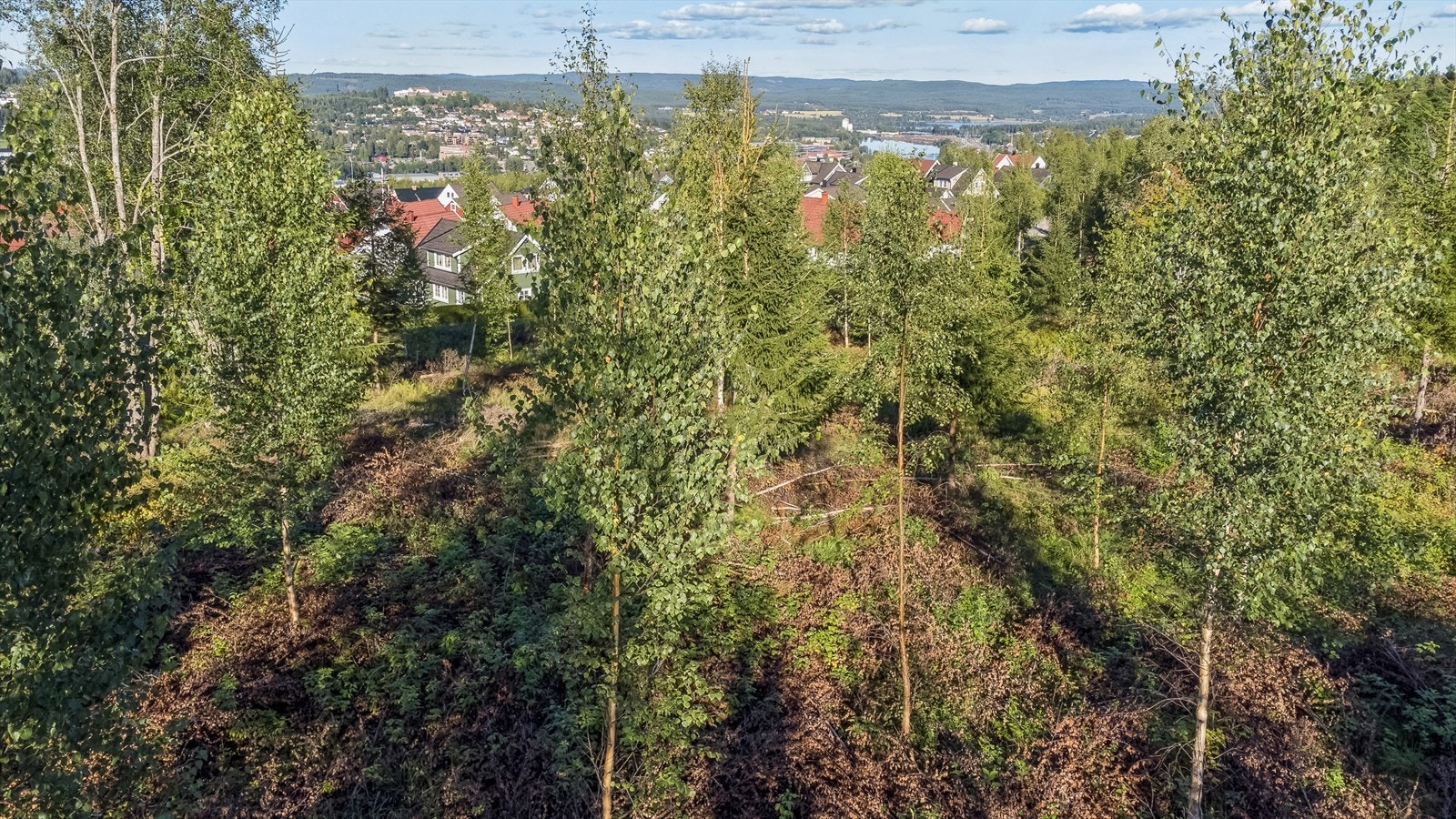 Utsikt fra tomt 1. Dronefoto tatt i 5m høyde. Galleribilde