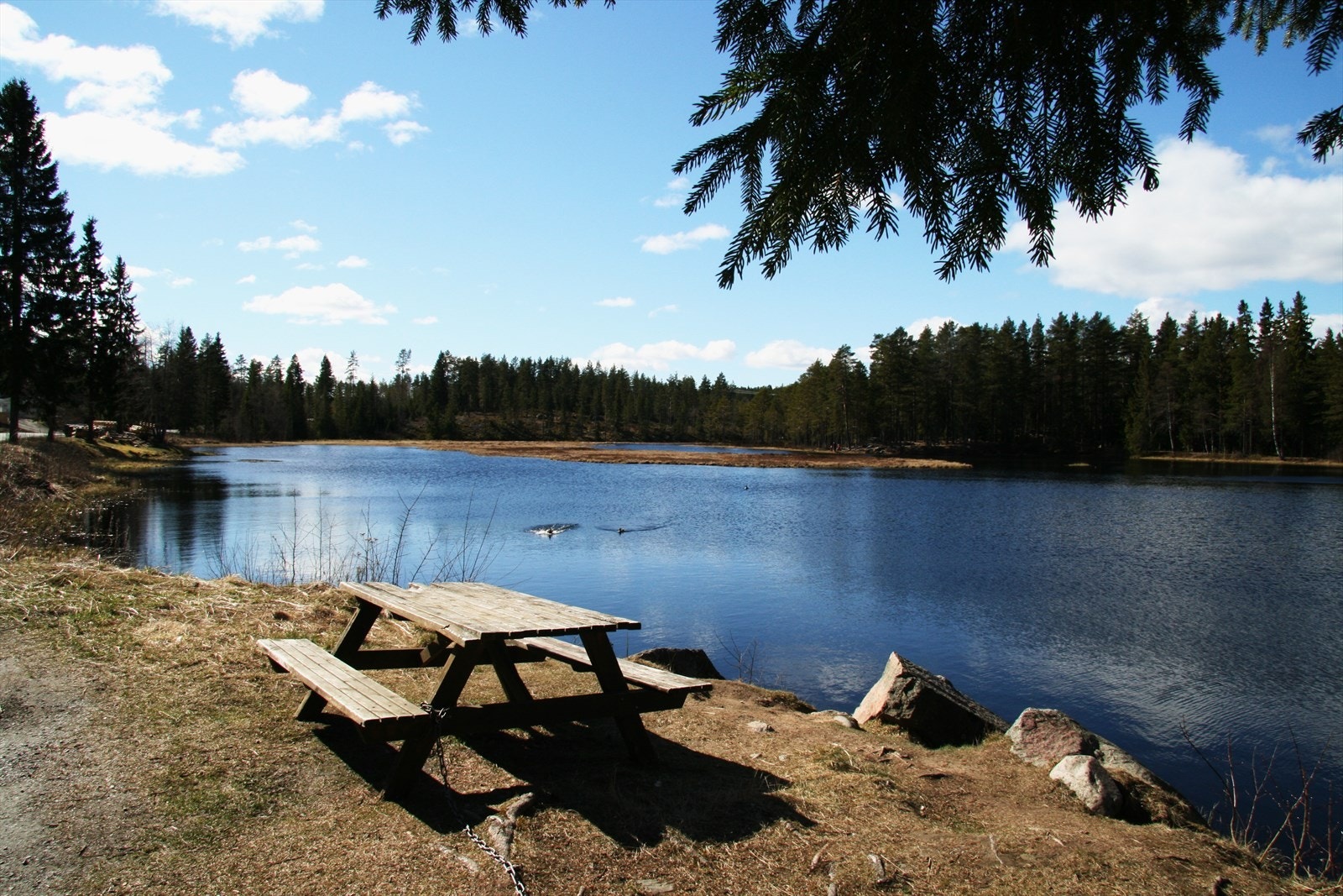 Eiendommen ligger tett på natur og flotte turområder! Galleribilde