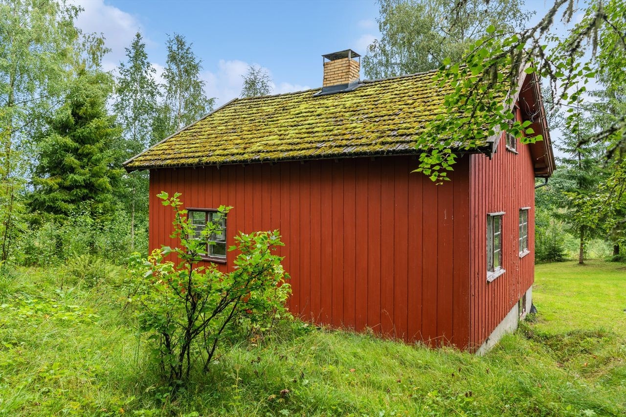 Naturtomt på store deler av eiendommen, noe plen foran boligen. Galleribilde