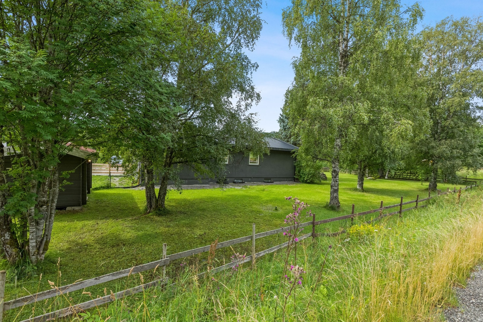 Stor hage. Galleribilde