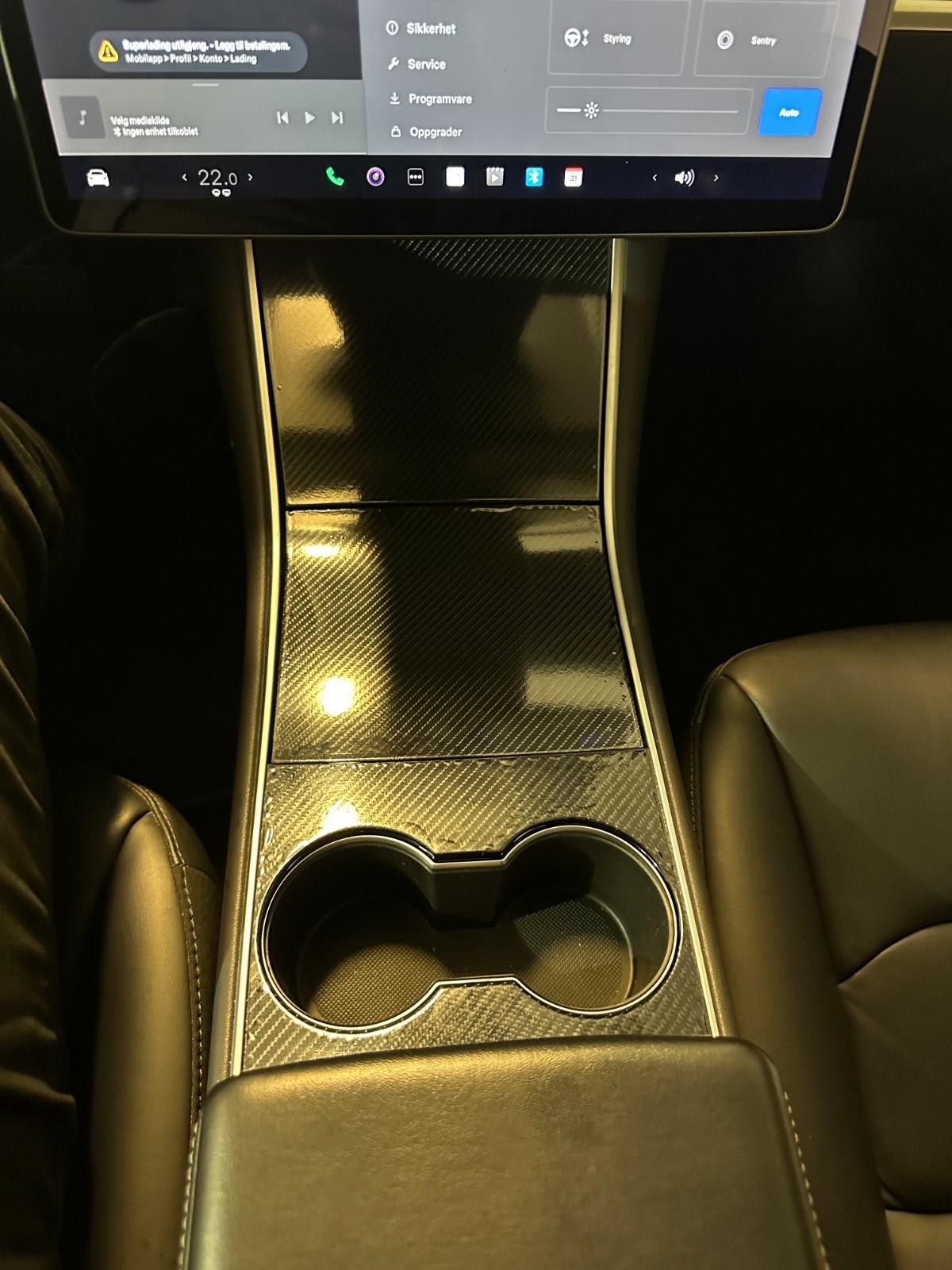 Tesla Model 3 31