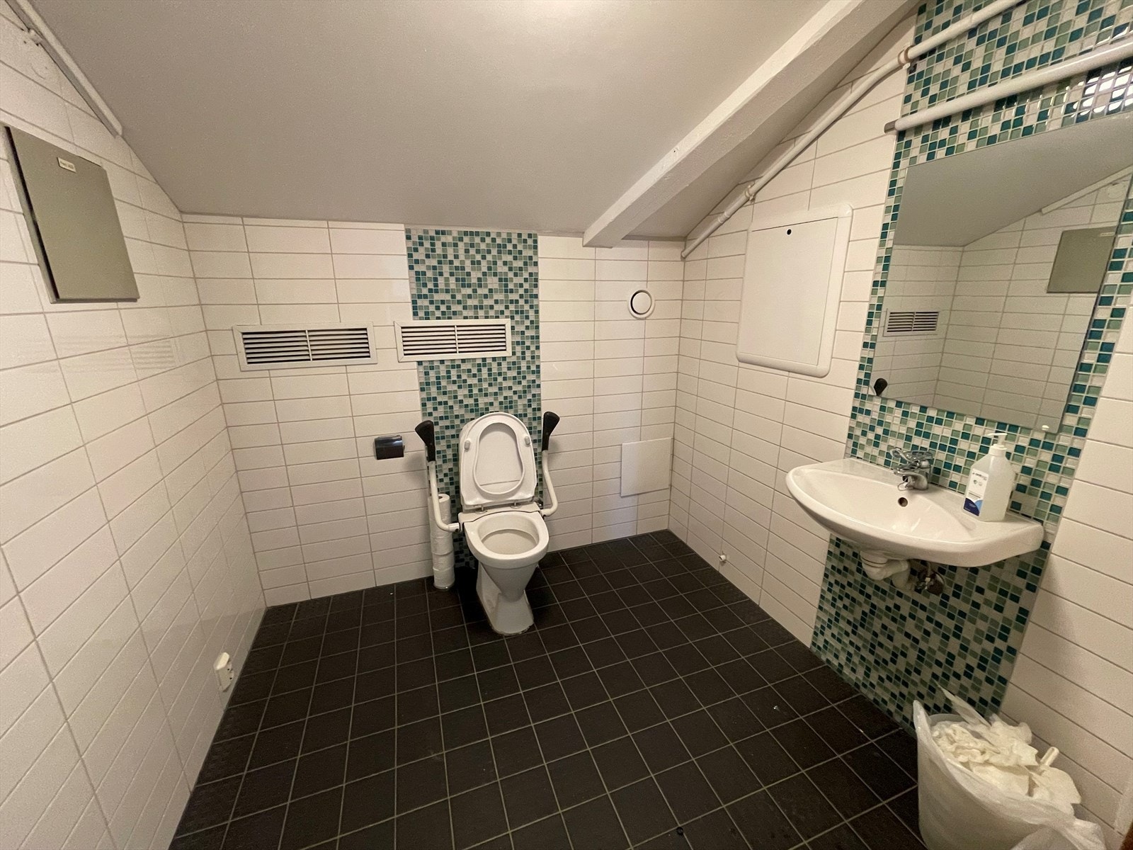 Handicaptoalett. Galleribilde