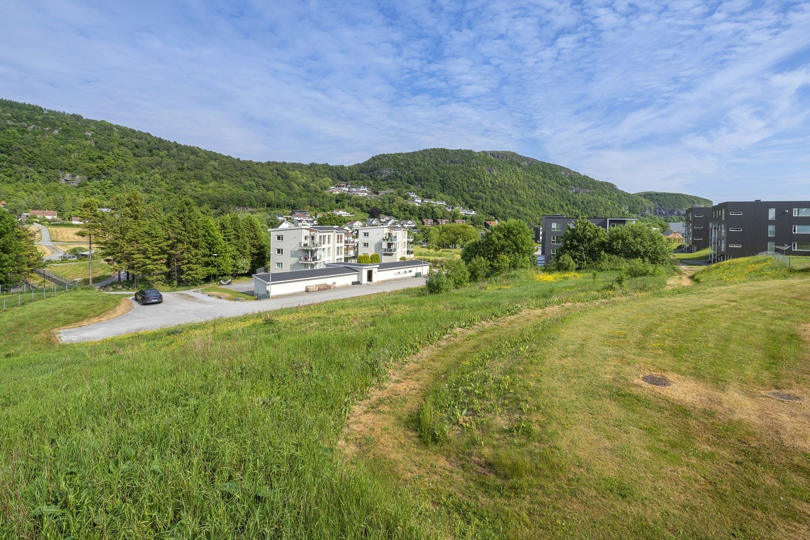 FCL07697 Galleribilde