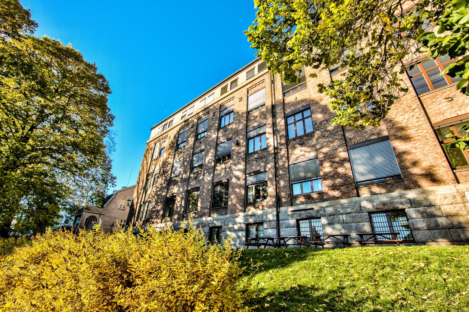 Hyggelig grønt- og parkmessig områder rundt eiendommen Galleribilde