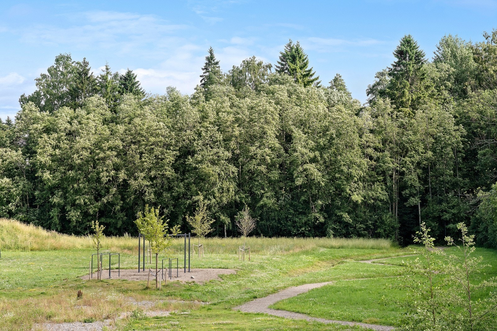 Turområde nær leiligheten Galleribilde