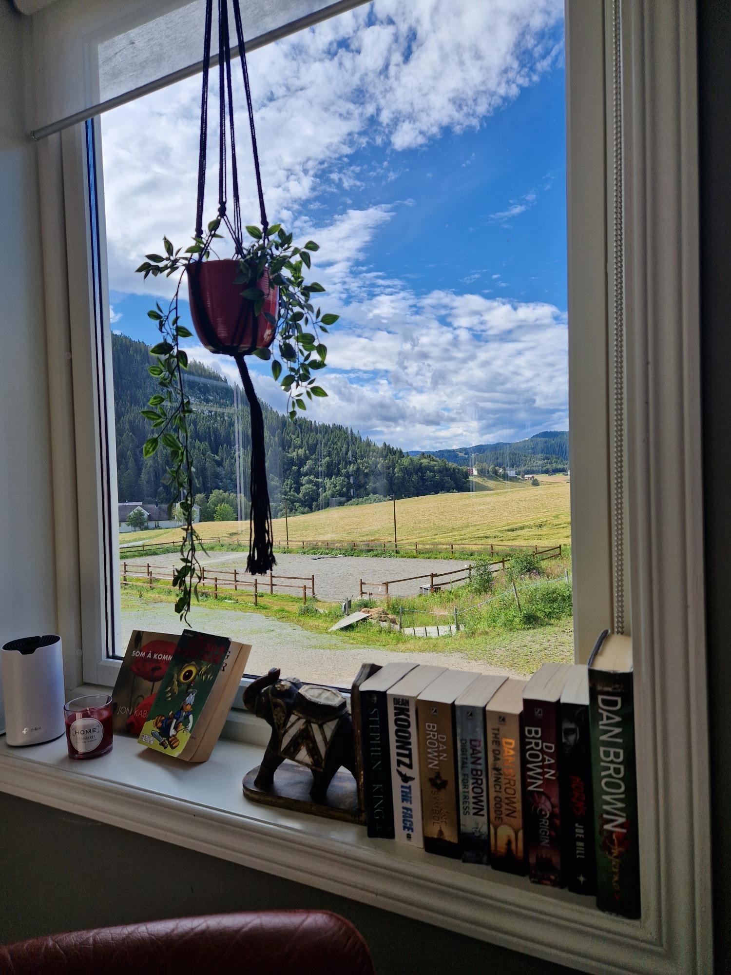 Utsikt fra stue Galleribilde