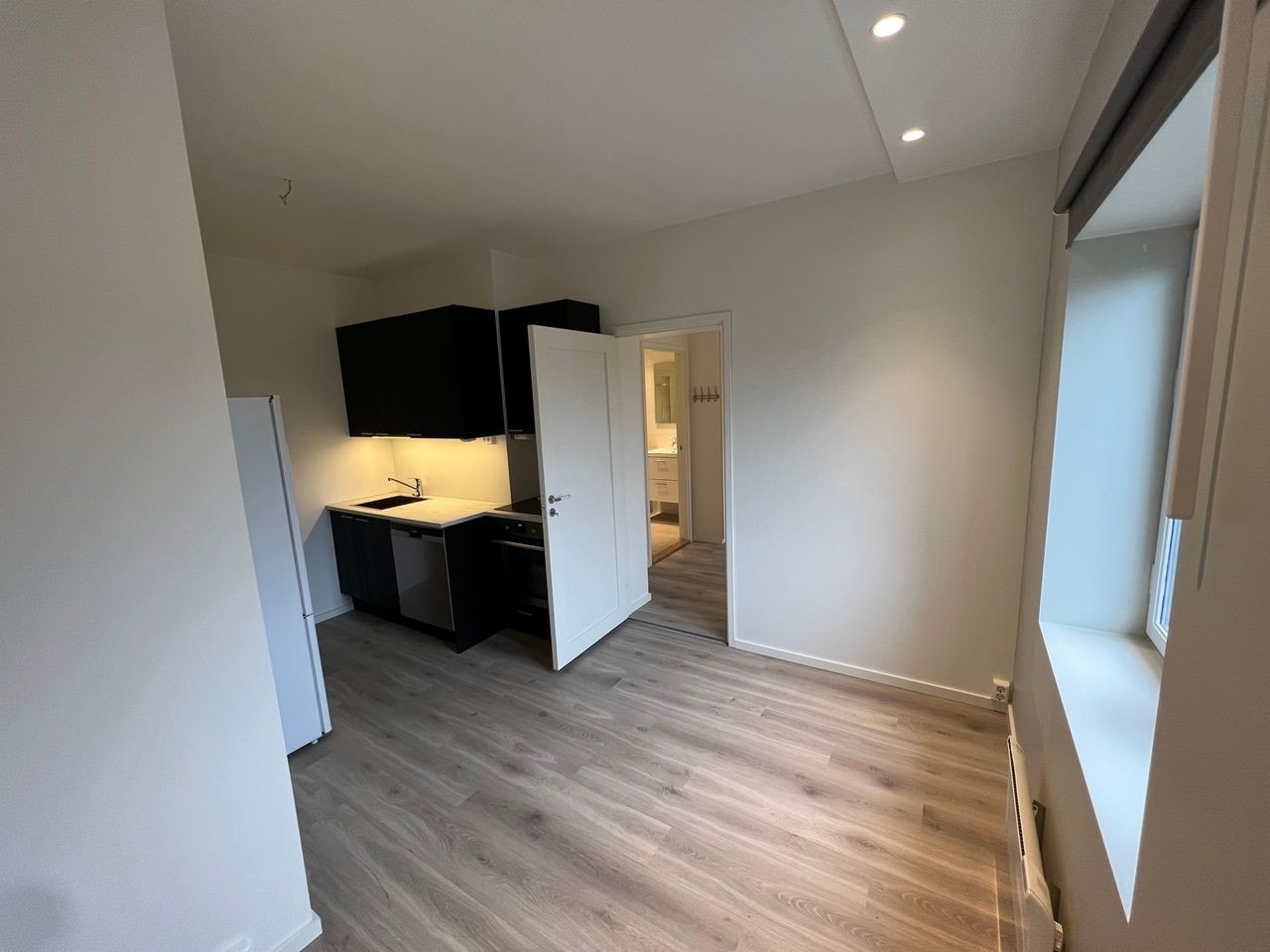 Leilighet 1: Stue/kjøkken Galleribilde