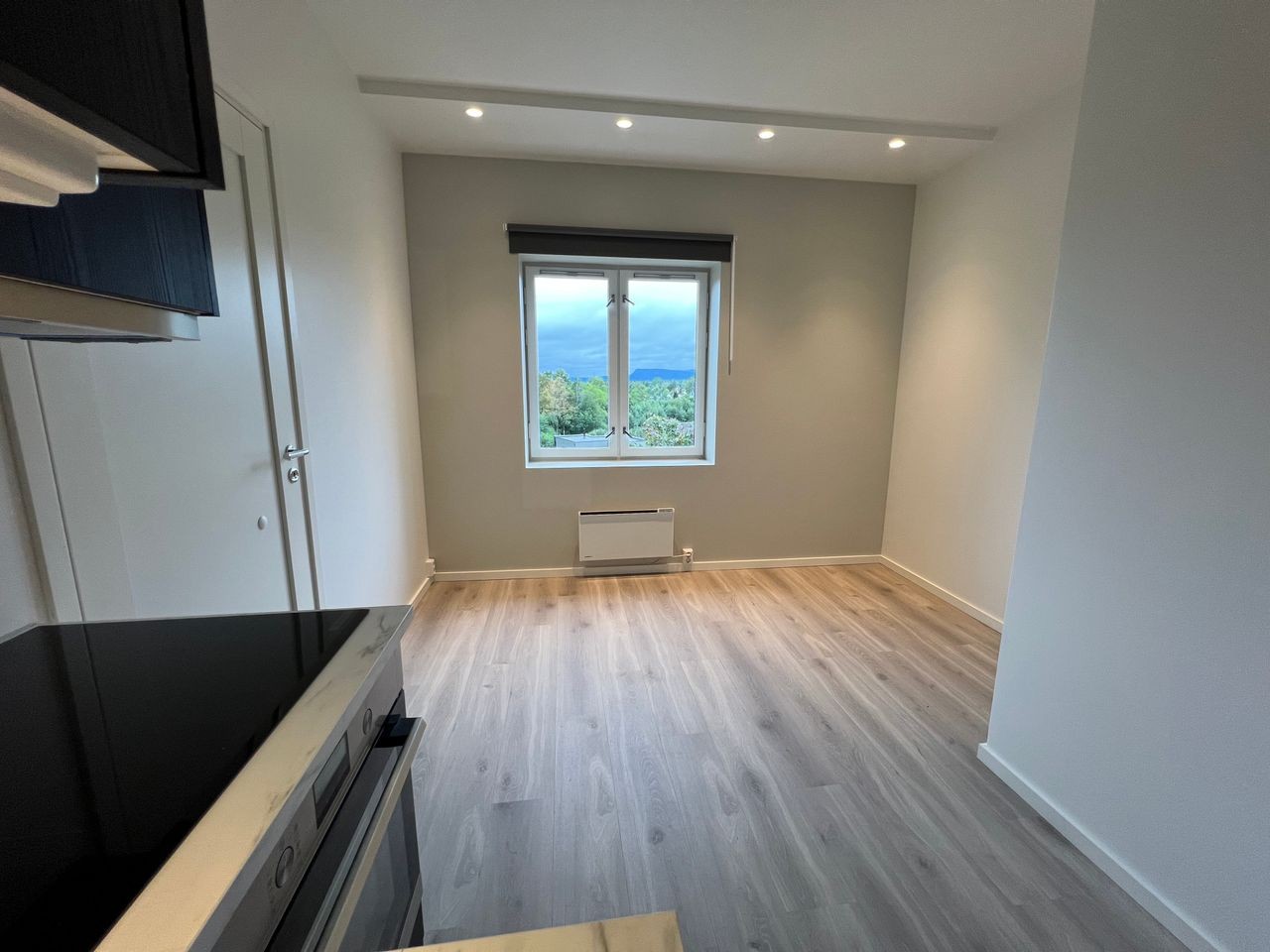 Leilighet 1: Stue/kjøkken Galleribilde