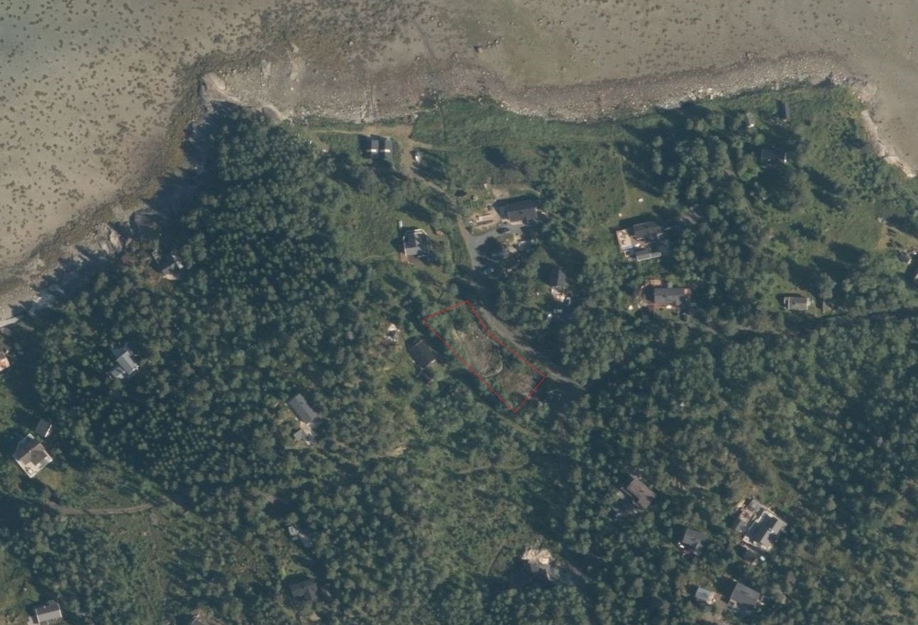 Oversiktsbilde tomt Galleribilde