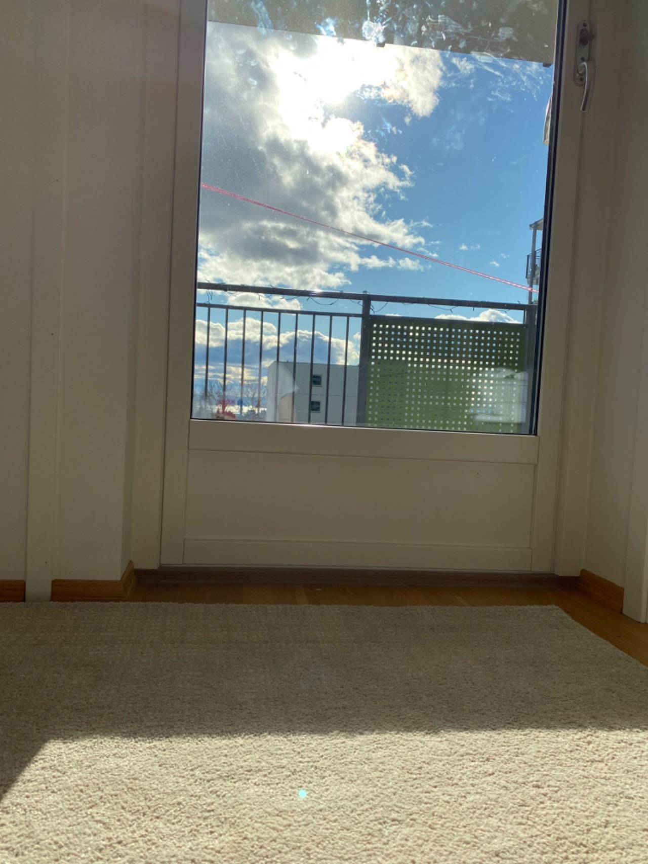 Rik sol på kl.19 om sommeren Galleribilde