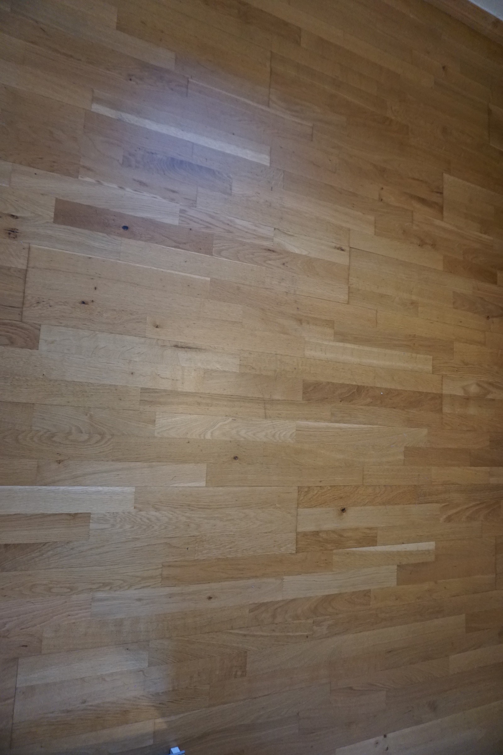 Parkett. Galleribilde