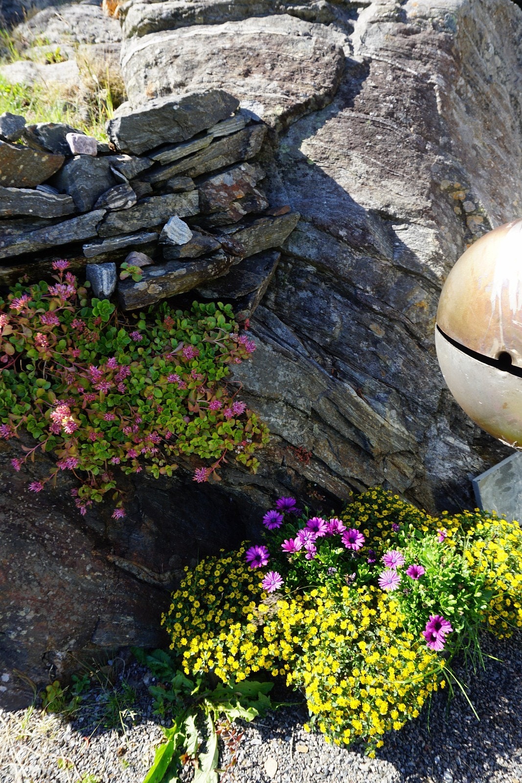 Velkommen på visning! Galleribilde