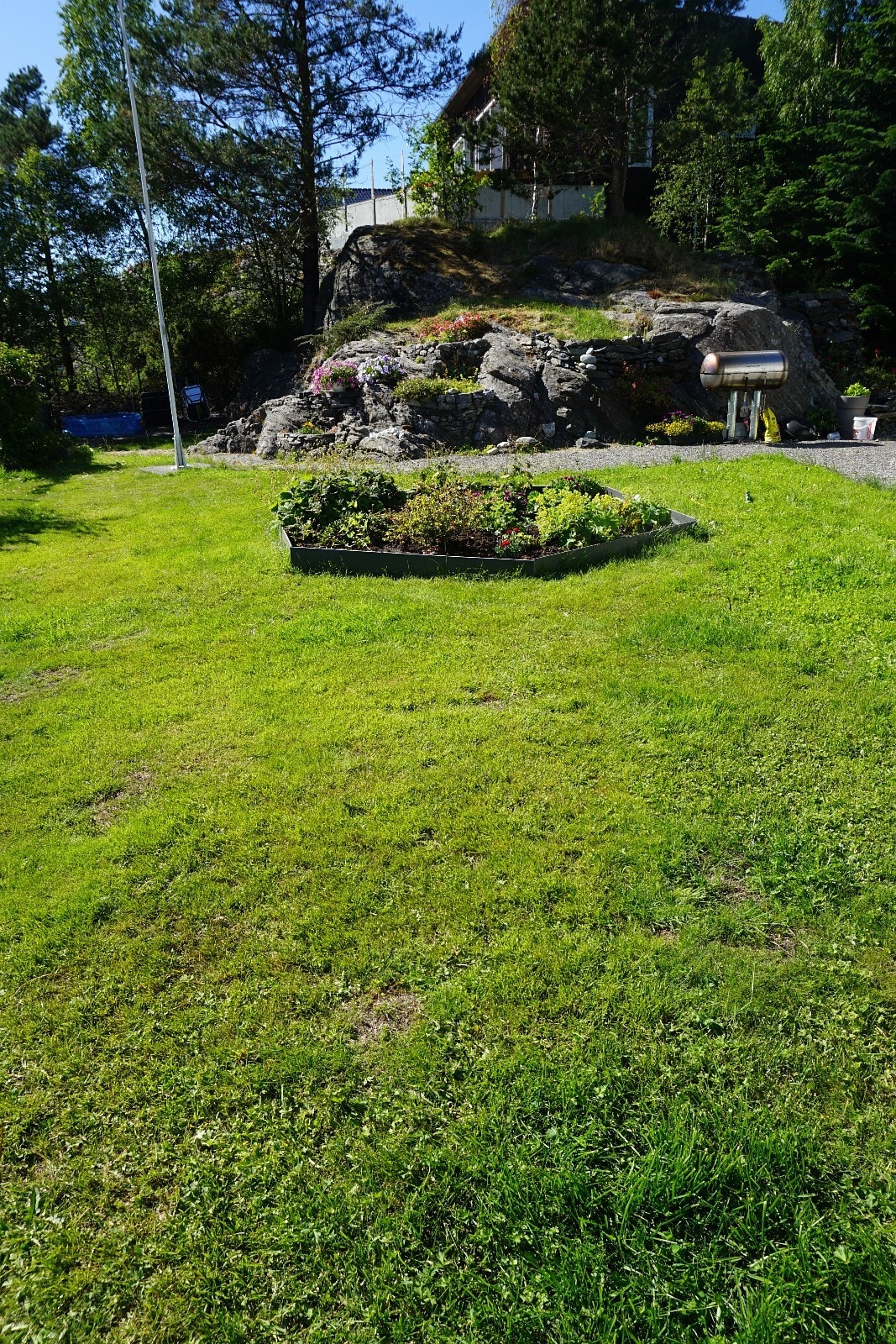 Del av vestvendt hage med gode solforhold. Galleribilde