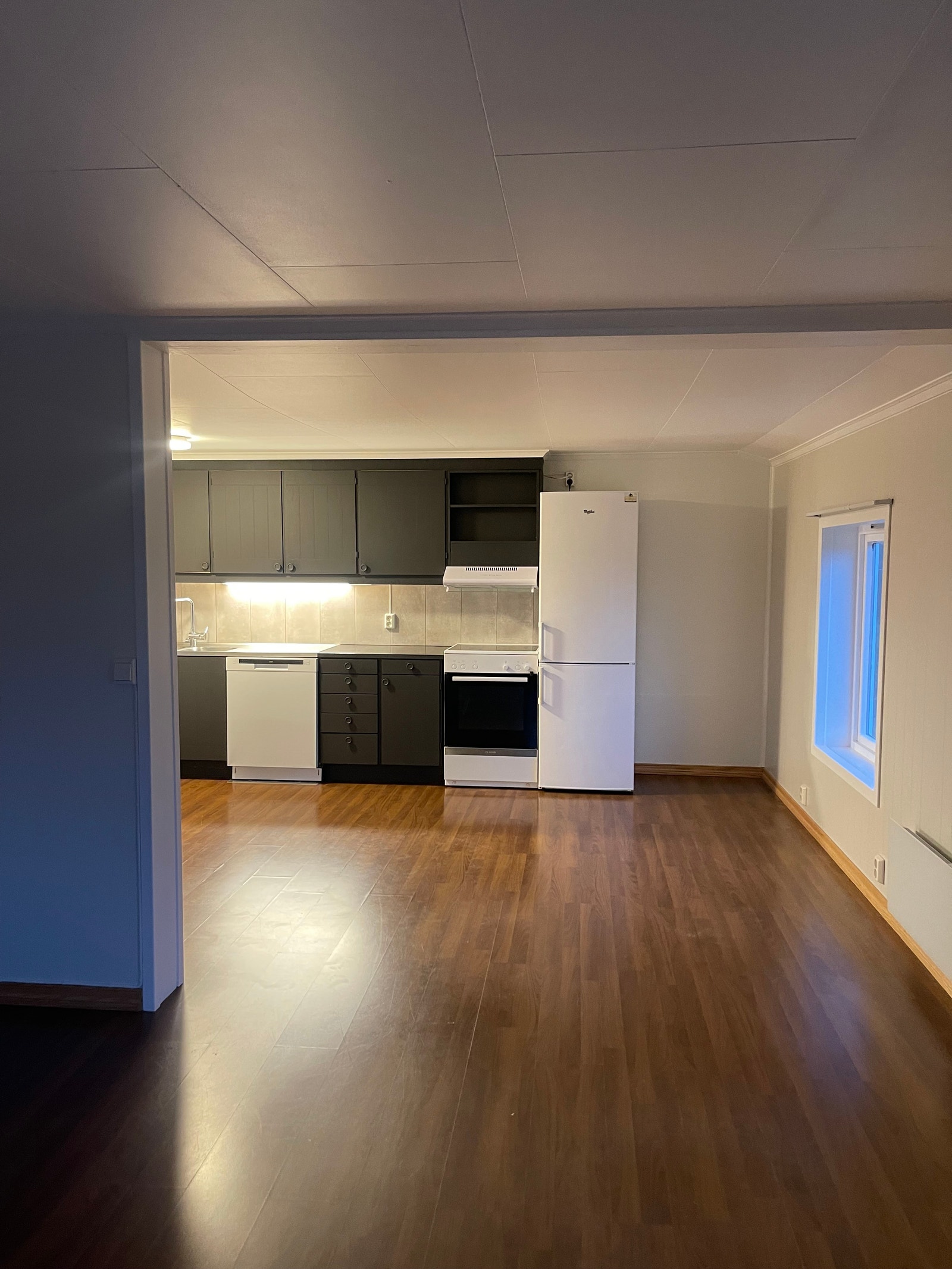 Kjøkken sett fra stue. Galleribilde