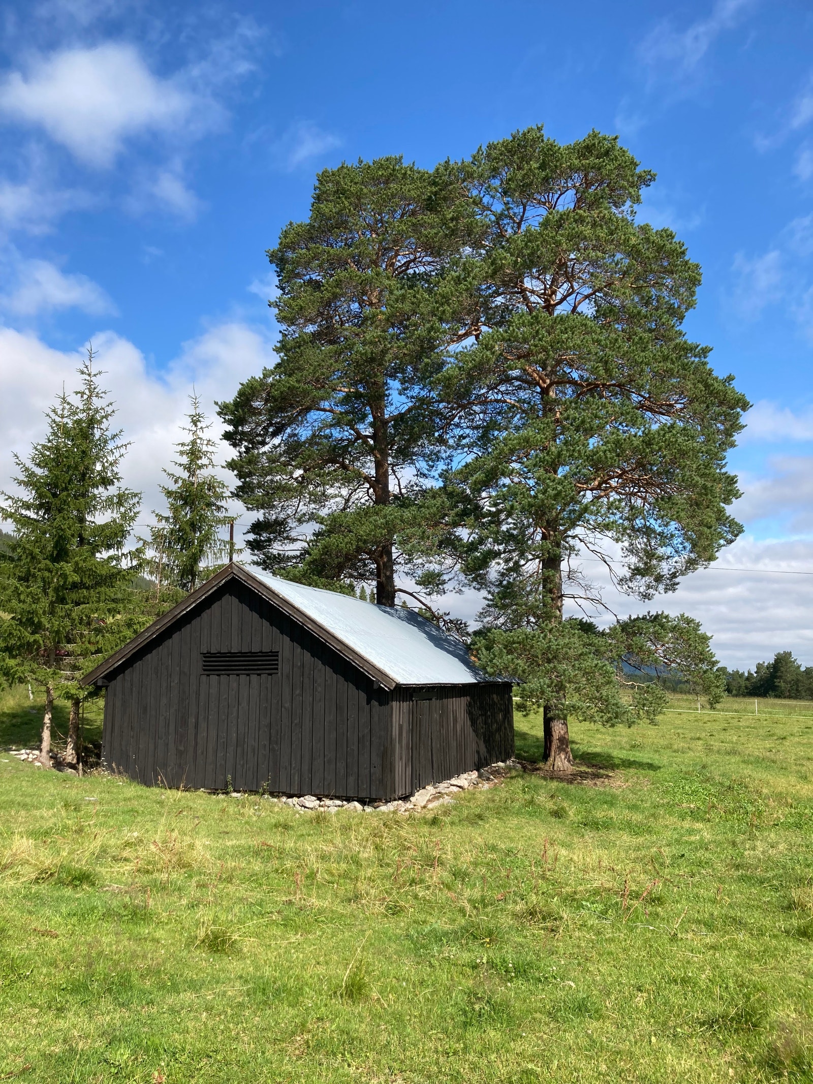 Vognskjul Galleribilde