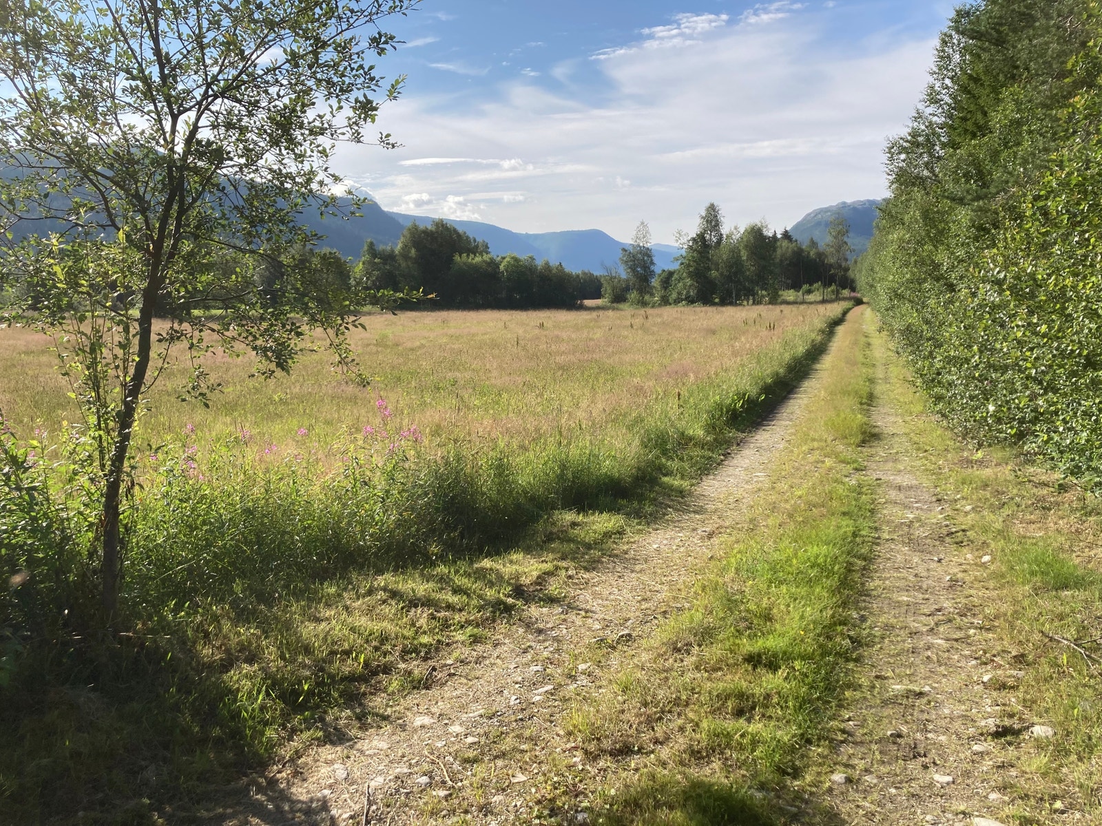 Driftsvei ved Vestlibrua Galleribilde