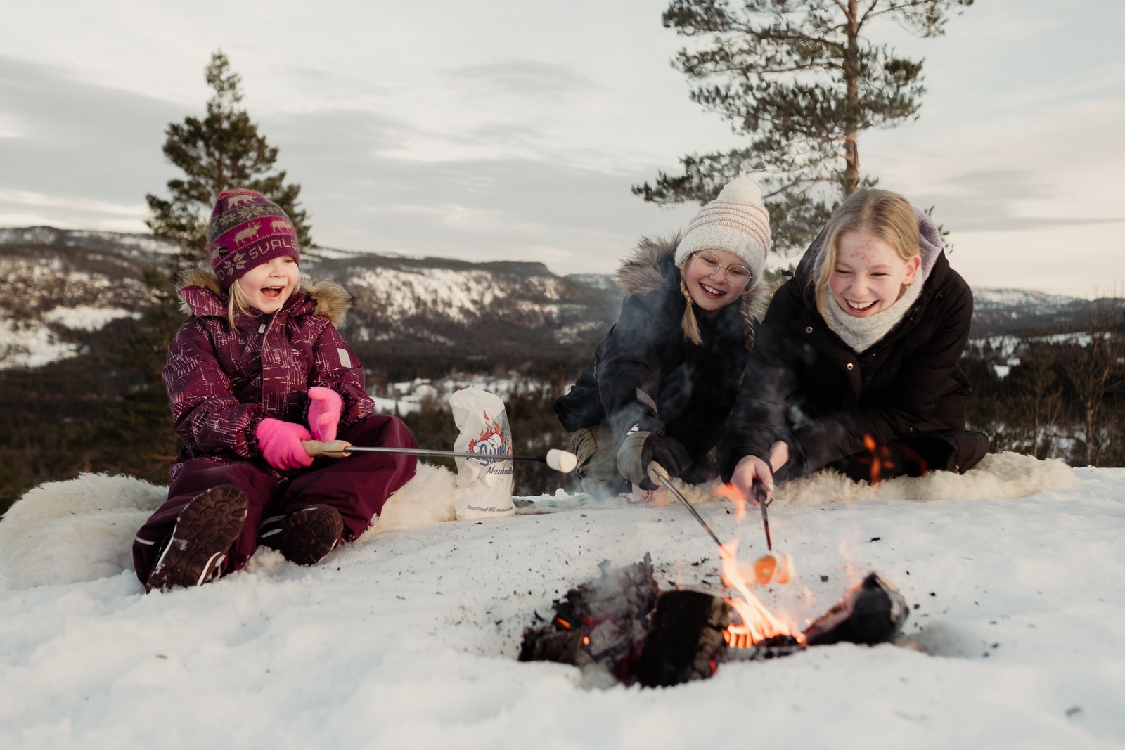 Bålkos Galleribilde