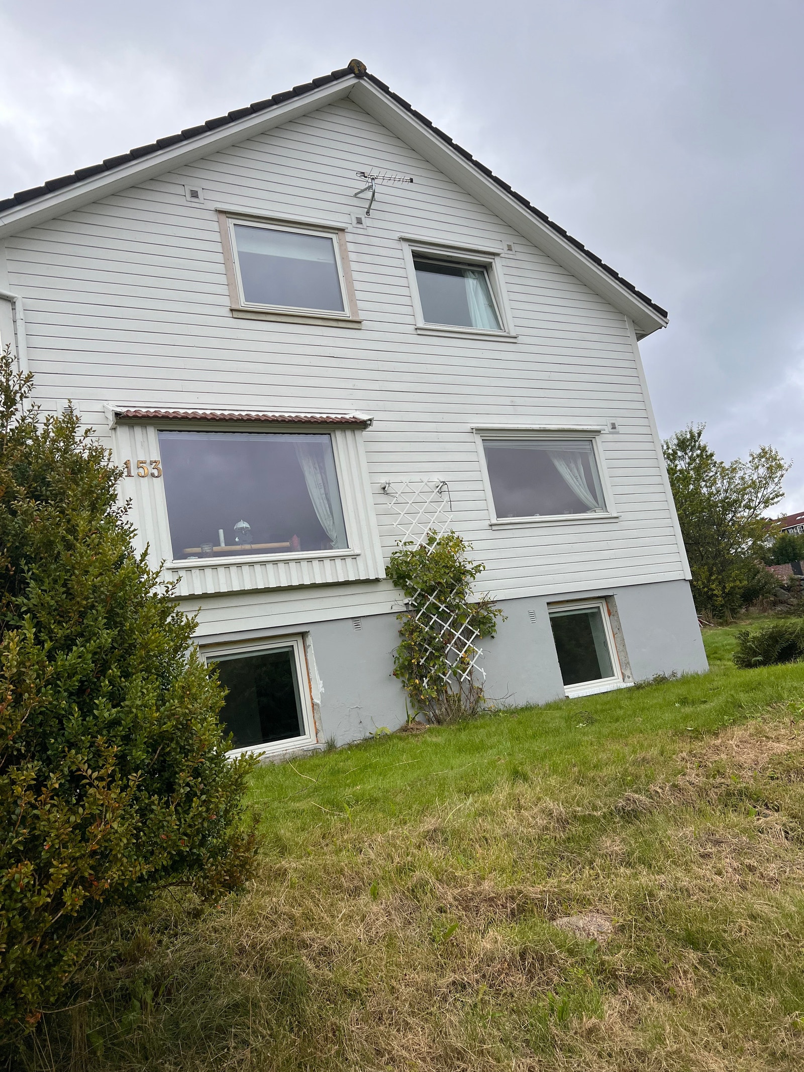 Hela huset Galleribilde